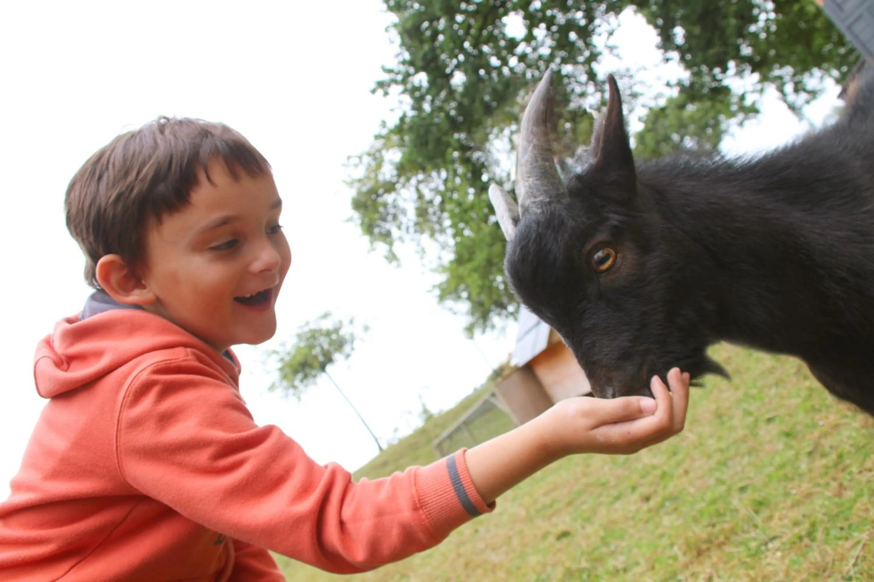 Kids's club in VVF Normandie Forges-les-Eaux