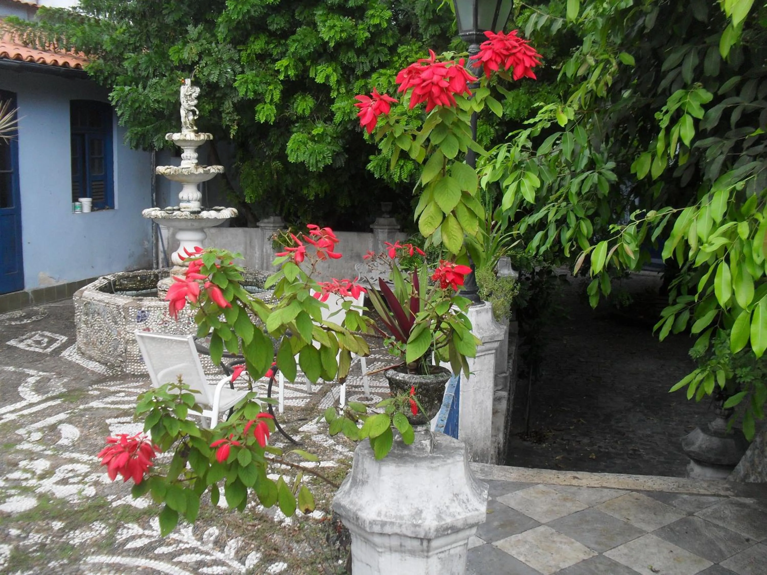 Garden in Pousada Barroco na Bahia