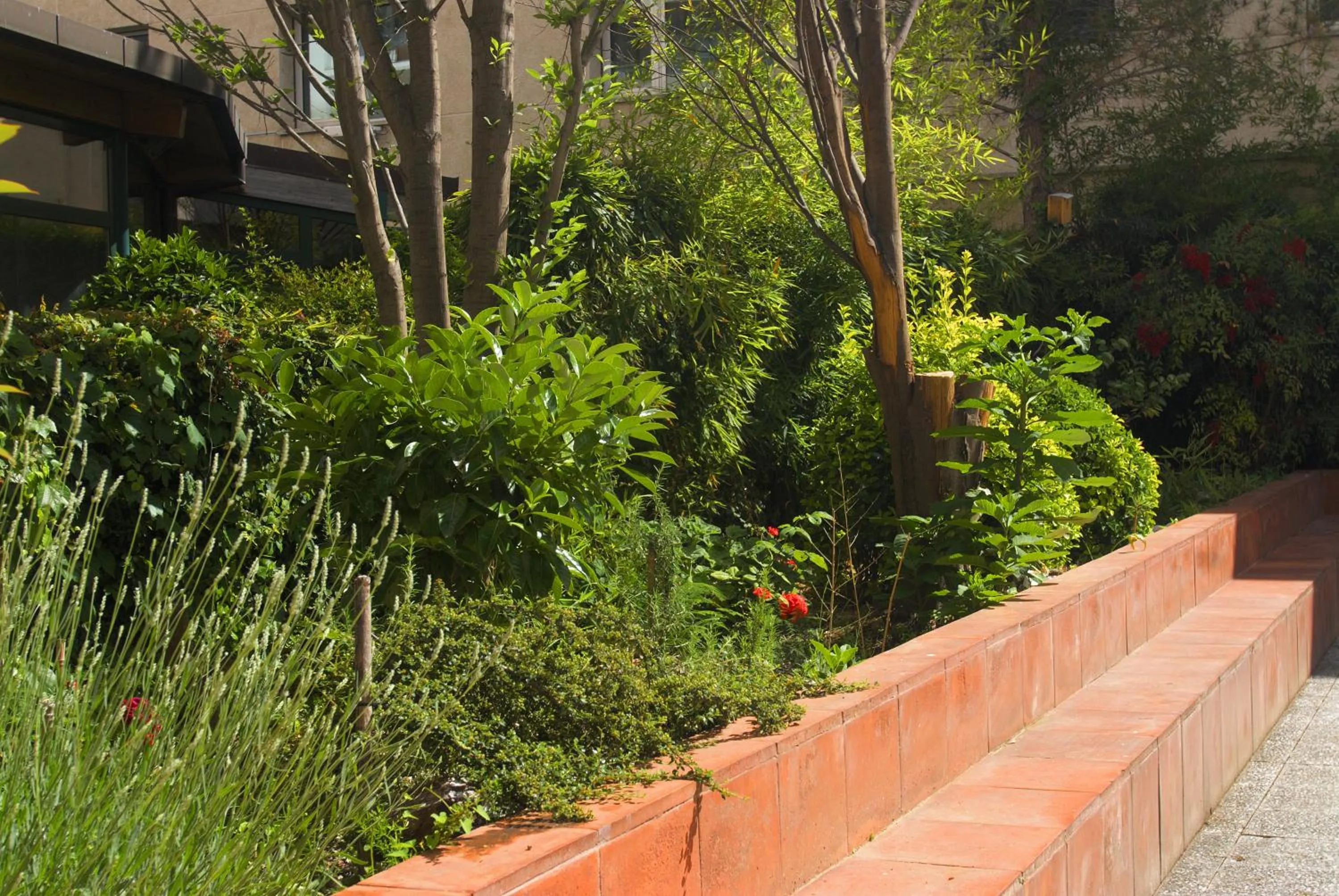 Garden in Residència Universitaria Pare Claret