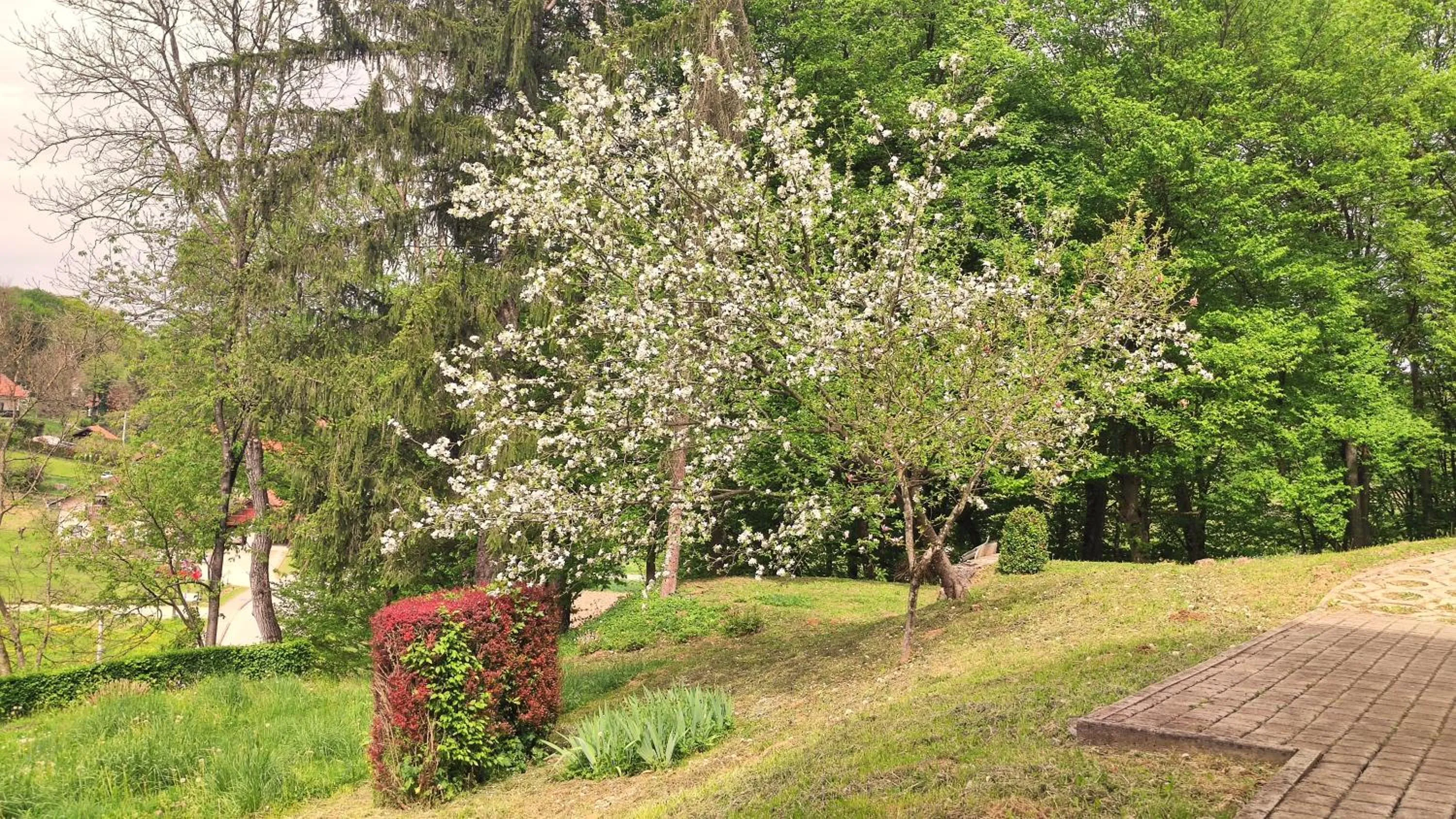 Garden view in Kuća za odmor Trnac