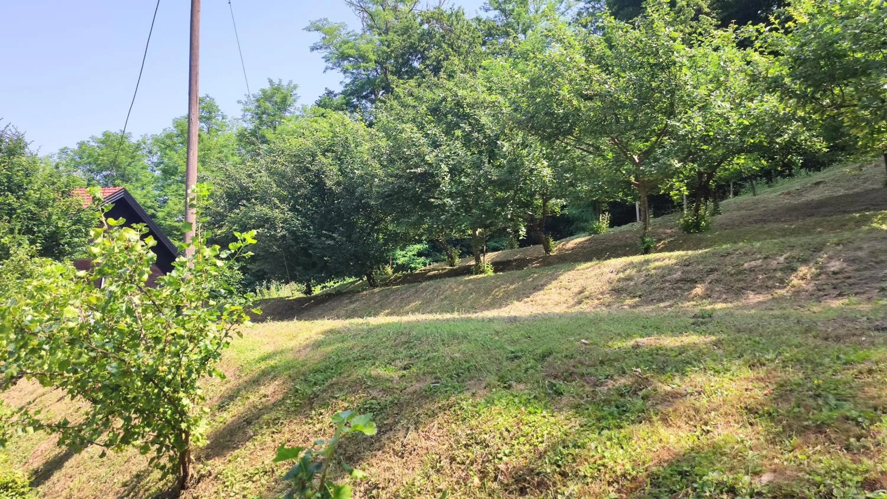 Garden view in Kuća za odmor Trnac