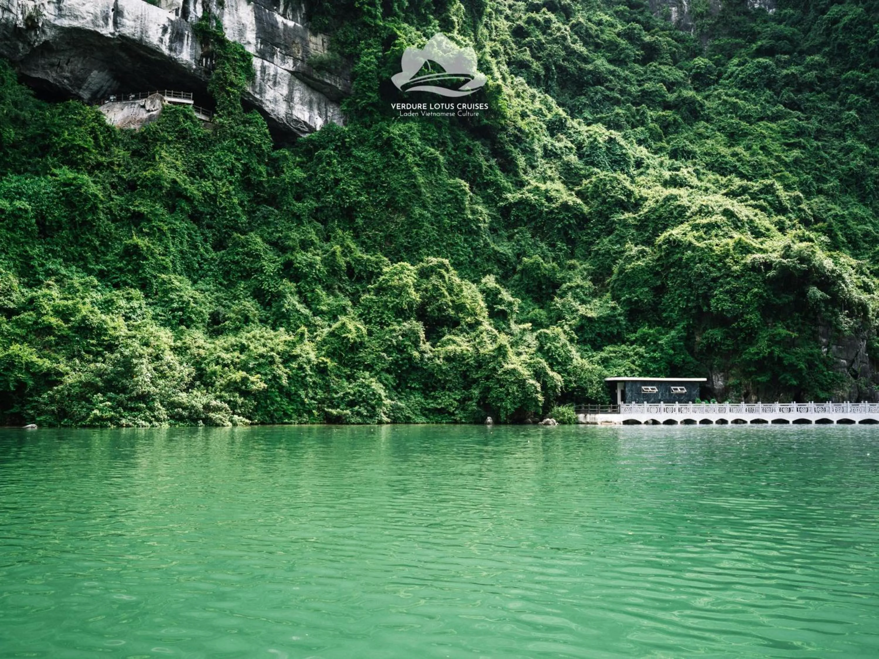 Activities in Verdure Lotus Grandeur Cruise on Ha Long Bay
