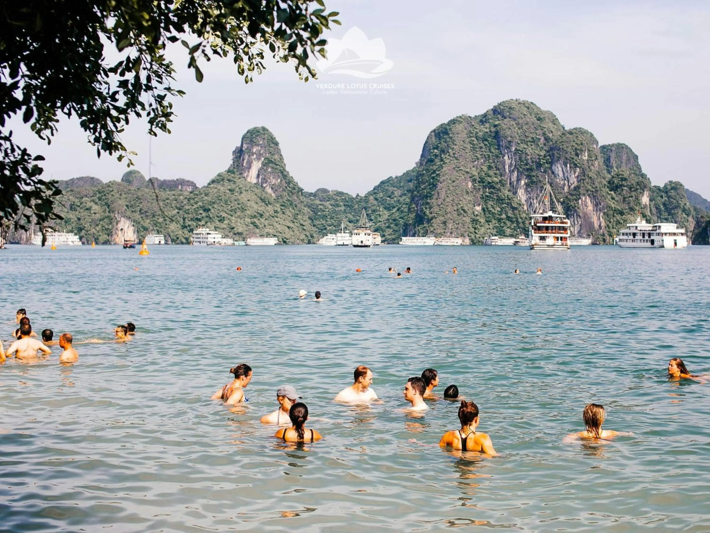 Activities in Verdure Lotus Grandeur Cruise on Ha Long Bay