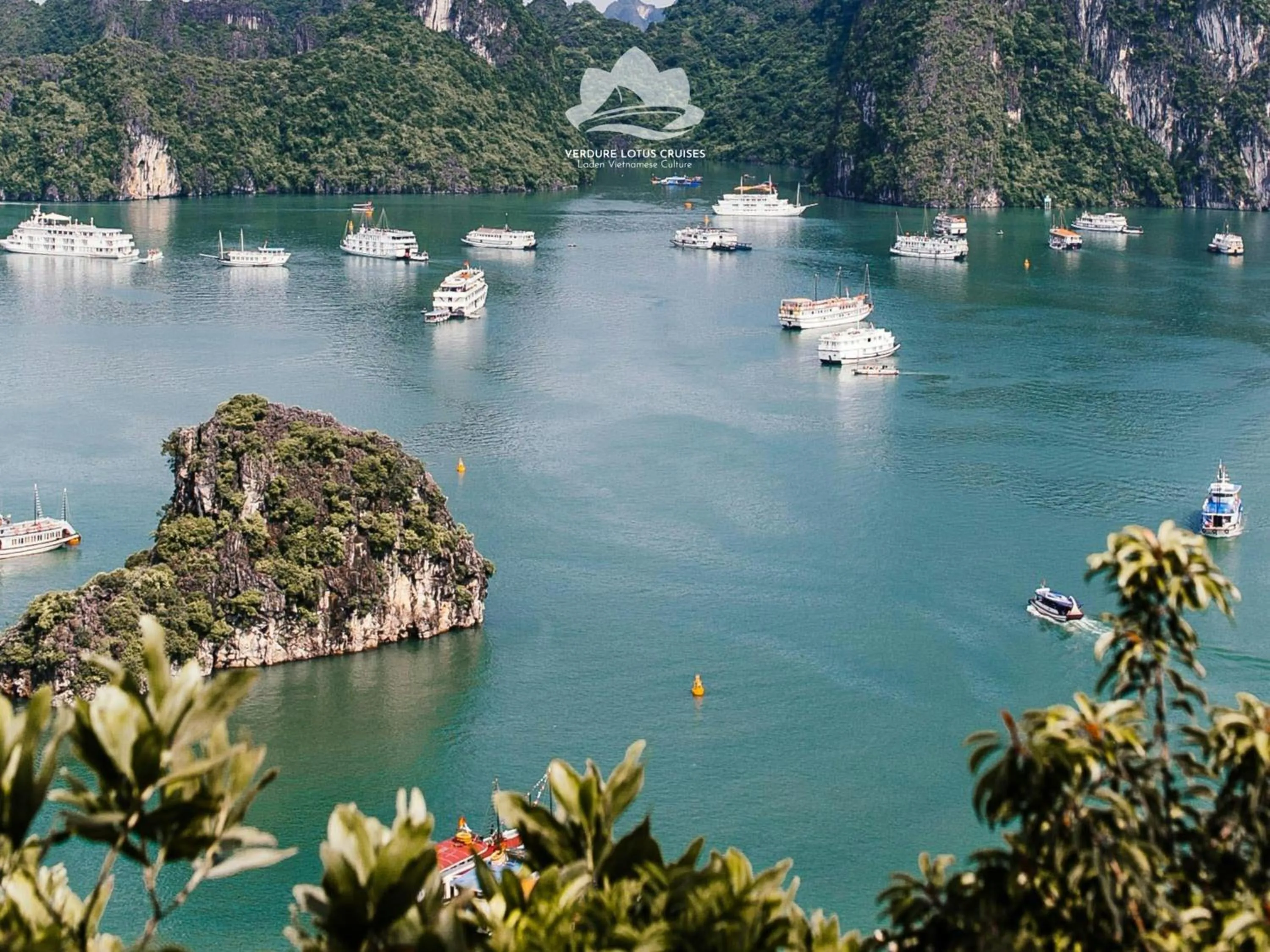 Location in Verdure Lotus Grandeur Cruise on Ha Long Bay