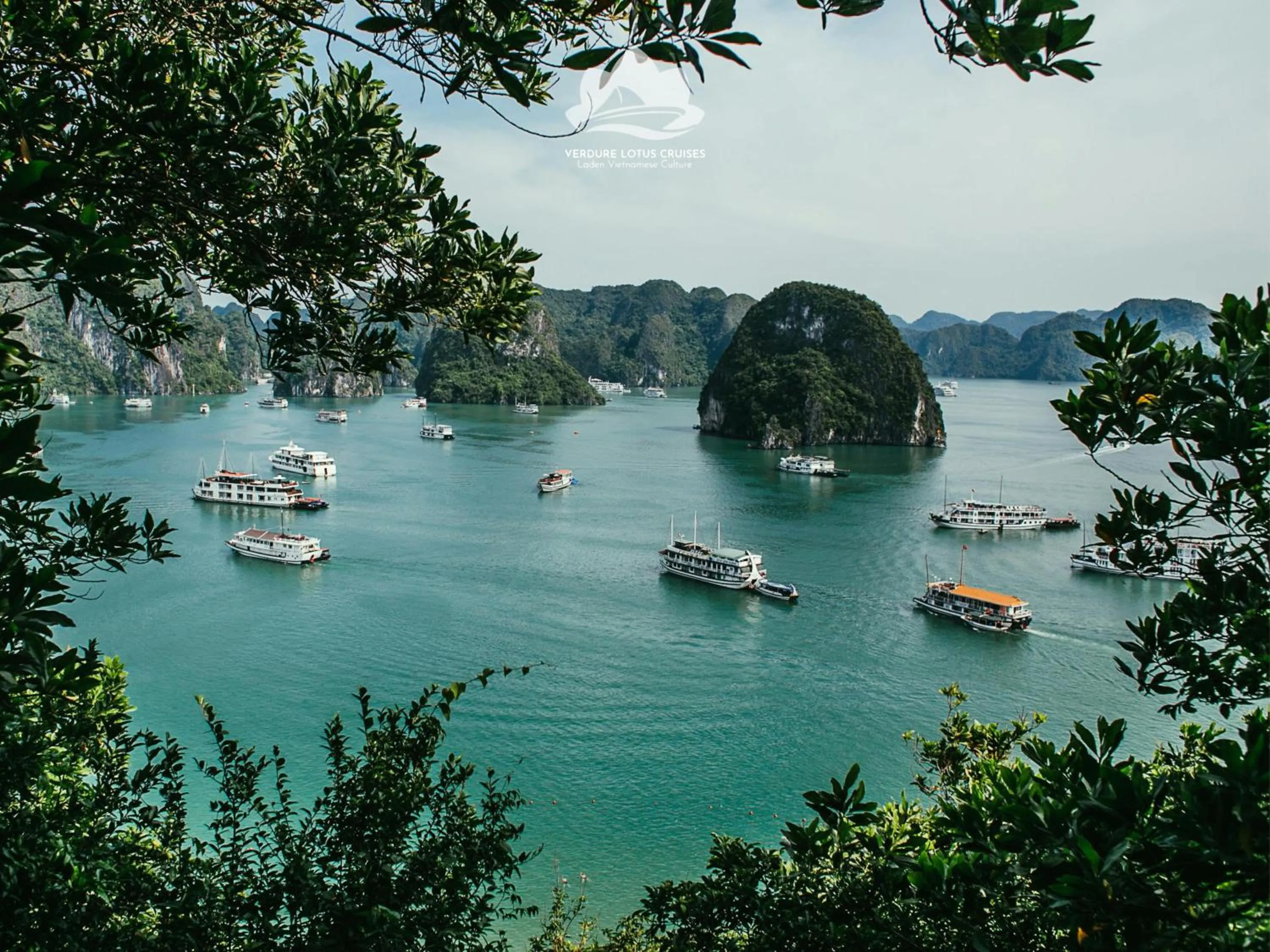 Location in Verdure Lotus Grandeur Cruise on Ha Long Bay
