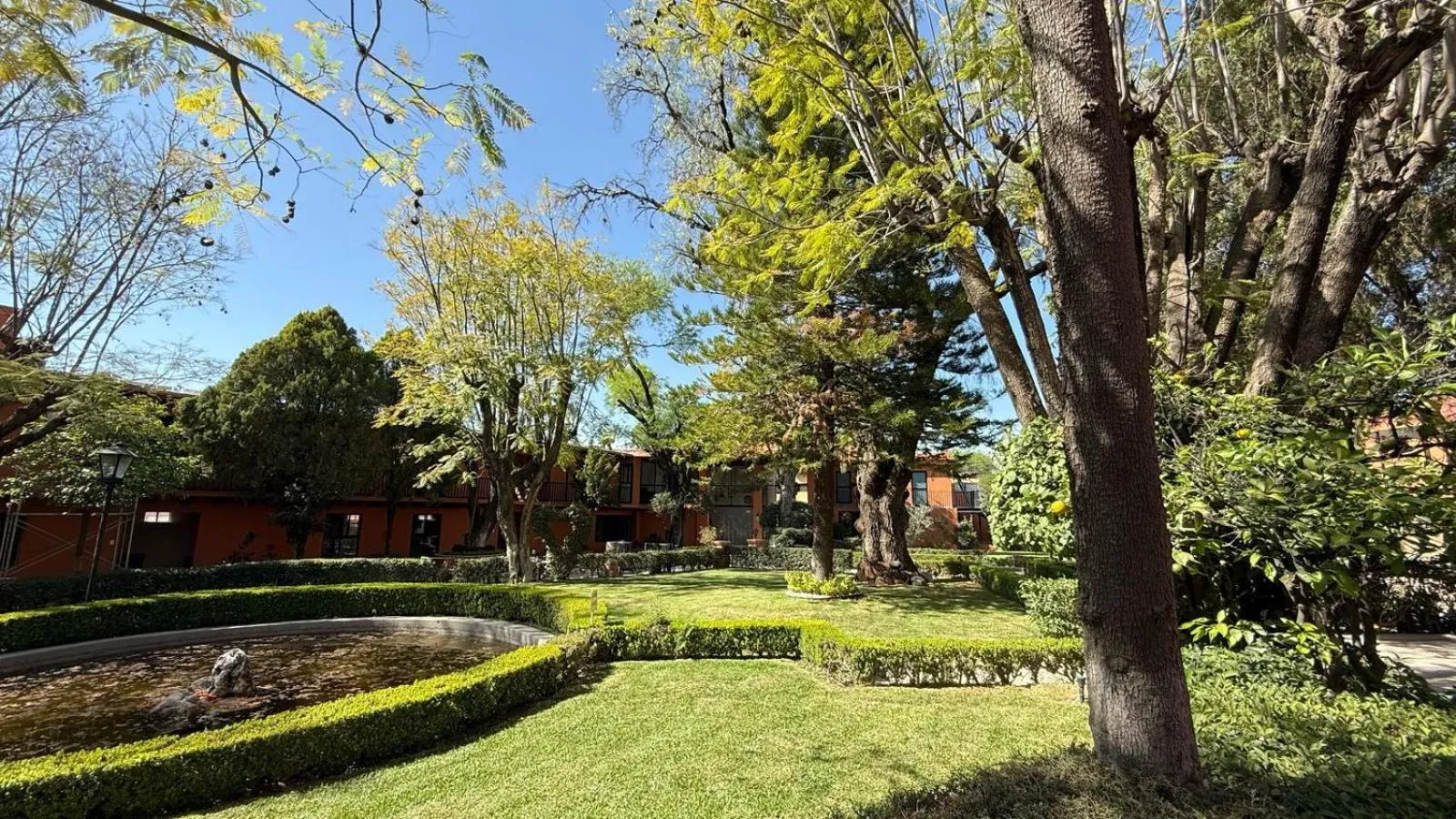 Garden in Hotel La Querencia