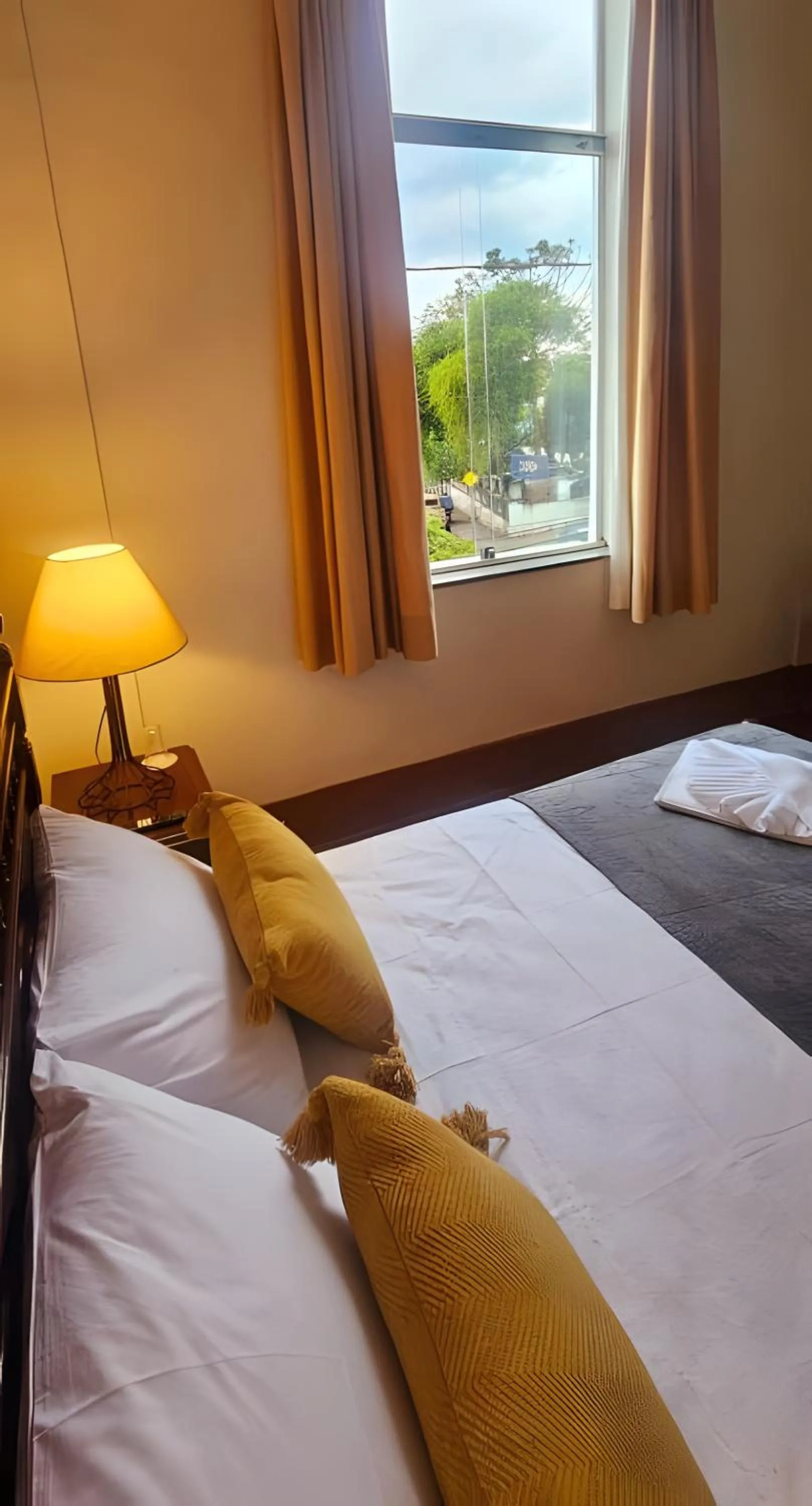 Deluxe Room in Hotel Barbacena