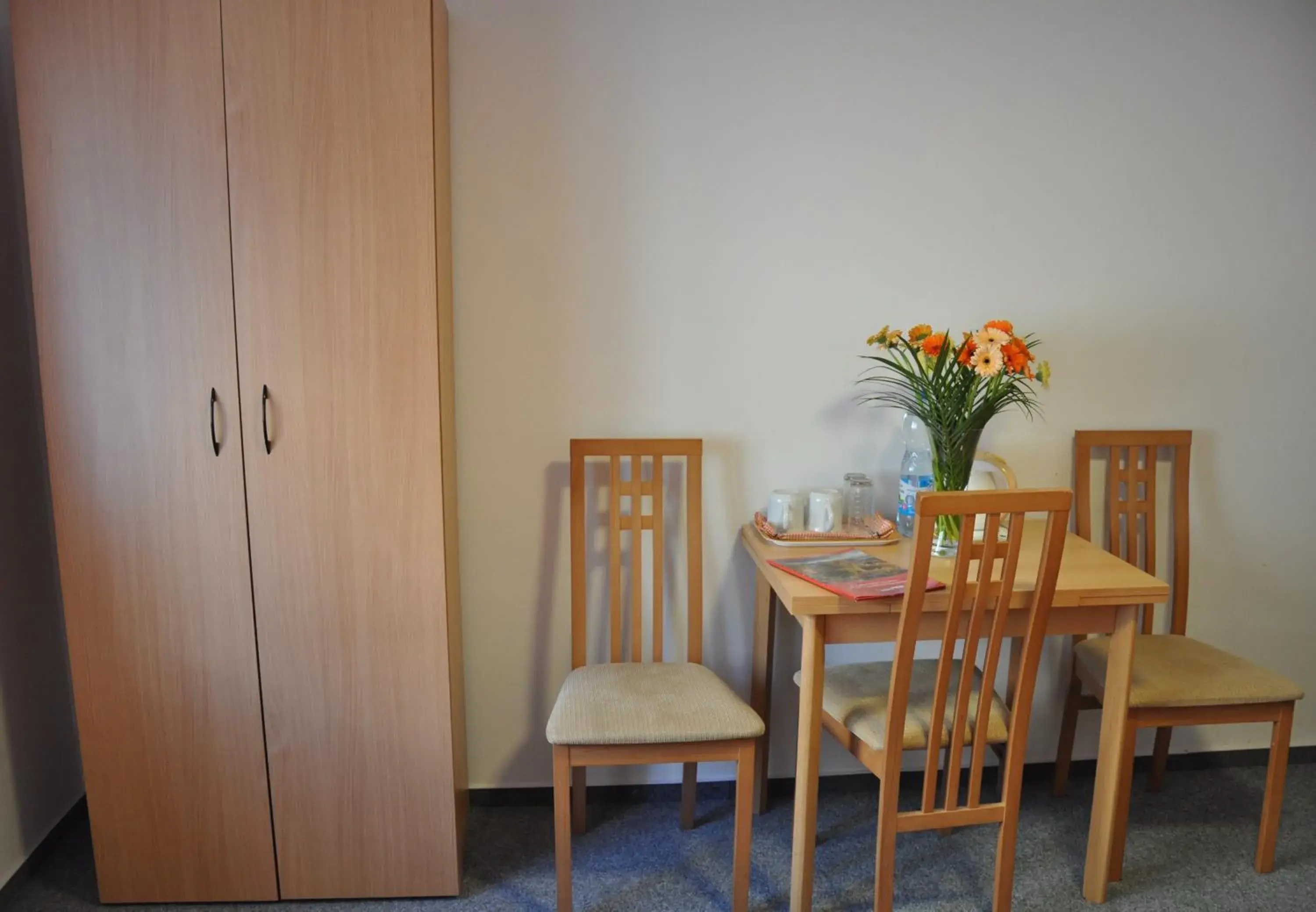 Triple Room with Private Bathroom in Hotel Děčín Na Skřivánce Triple Room with Private Bathroom in Hotel Děčín Na Skřivánce