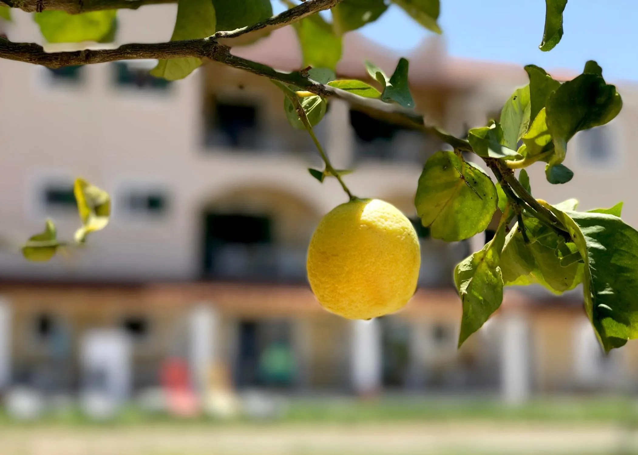 Neighbourhood in Catamaran Corfu Aparthotel