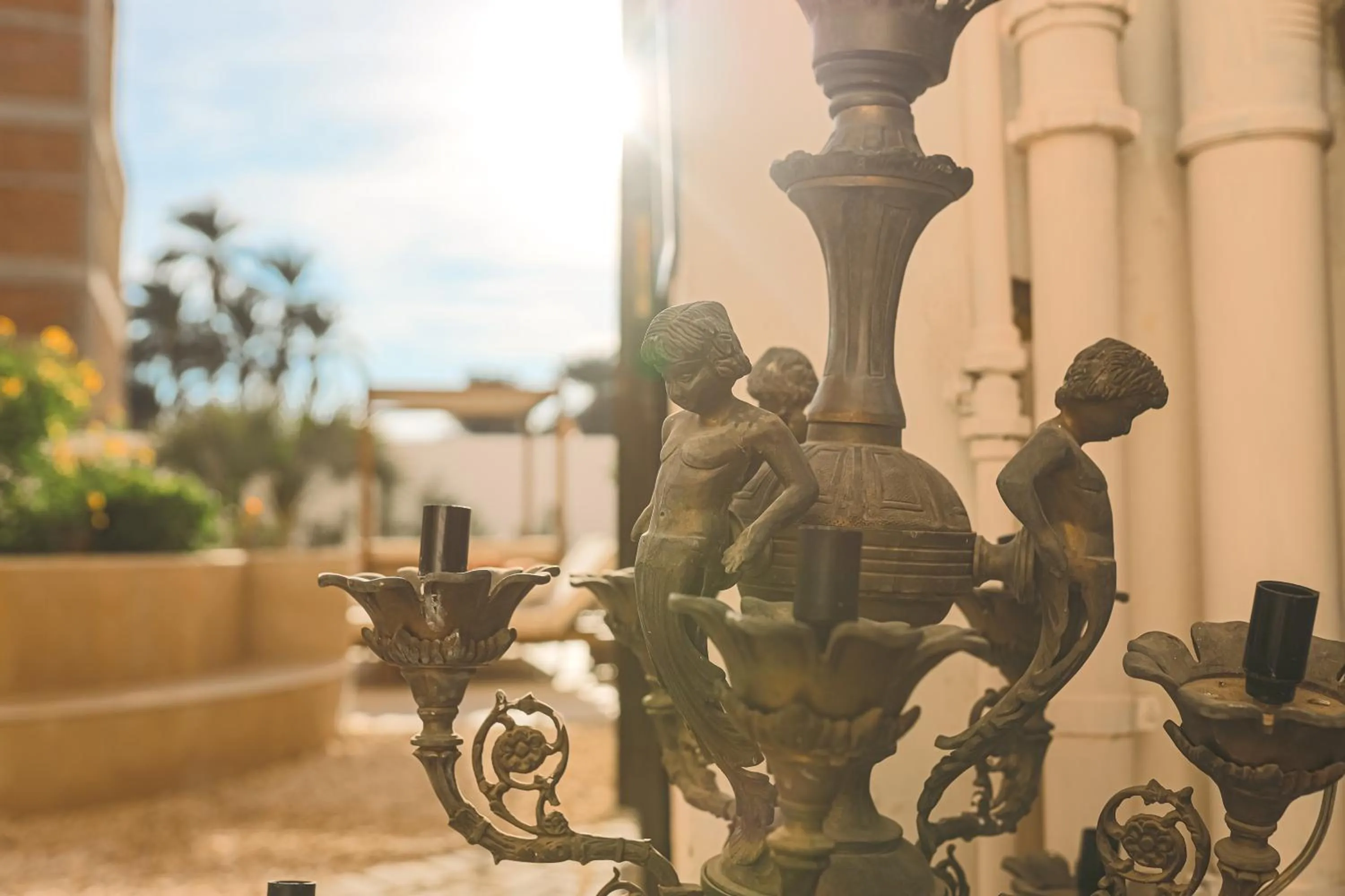 Garden view in Al Wadi Hotel