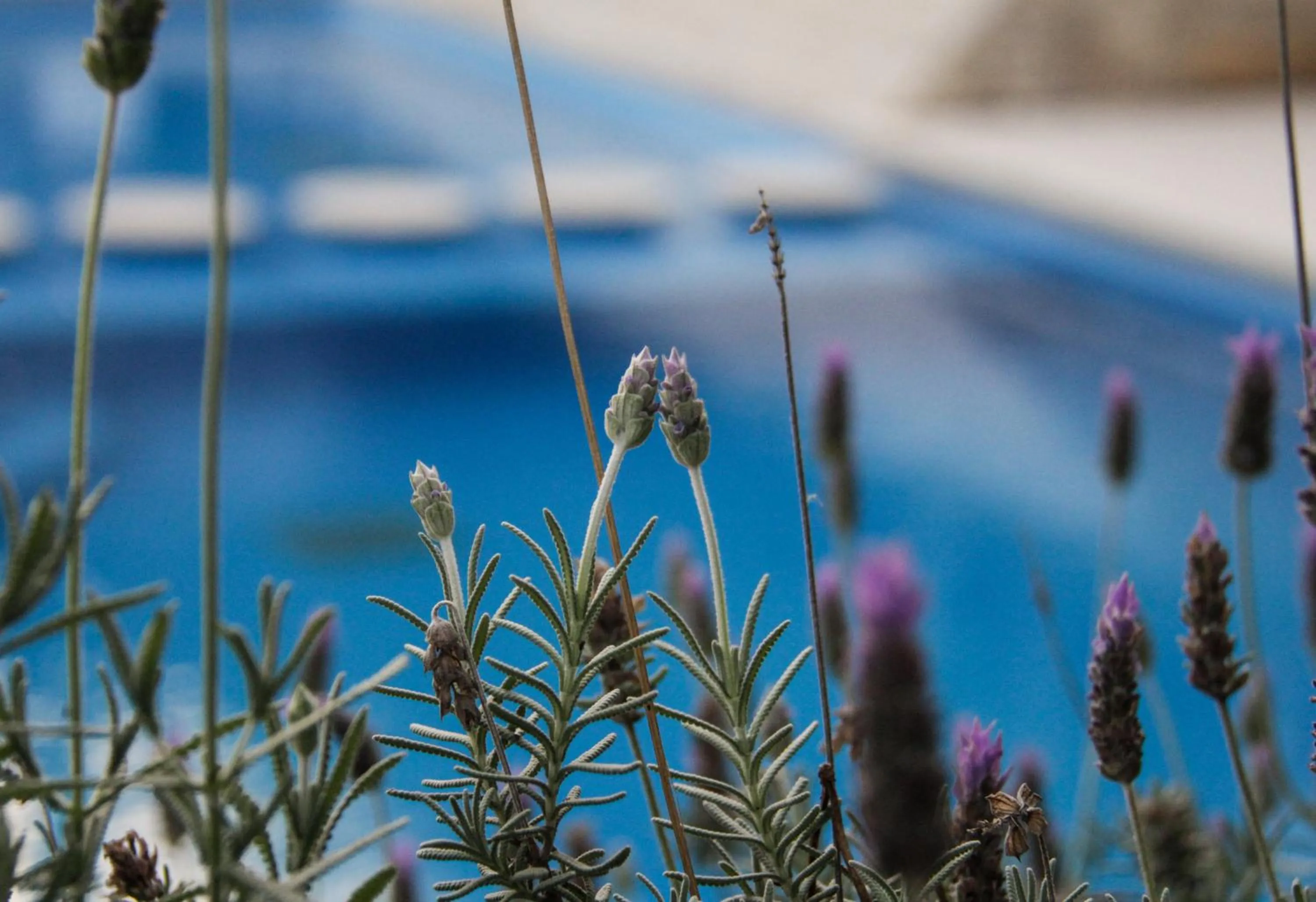 Natural landscape in Carilo Hills by bund