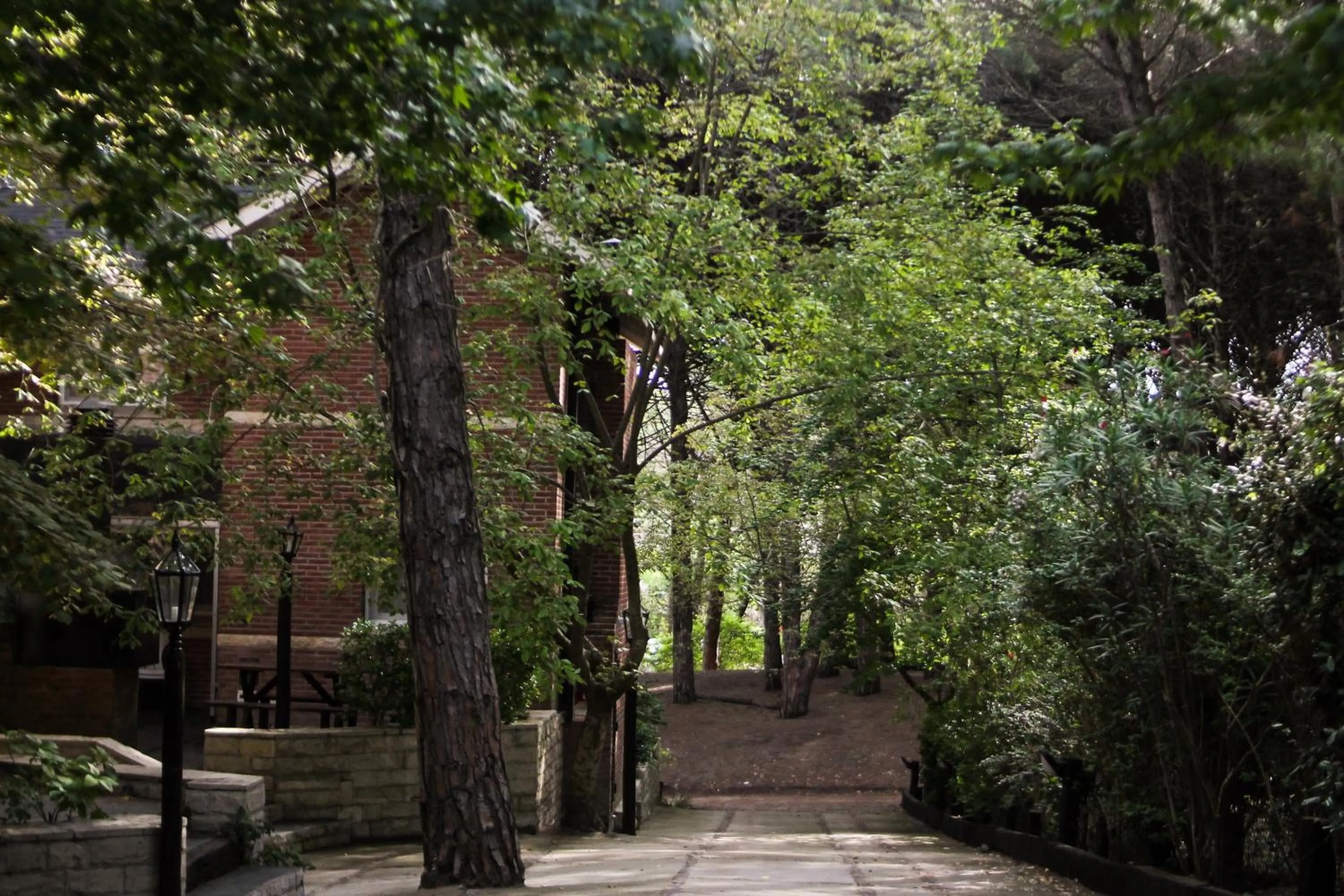 Property building in Carilo Hills by bund