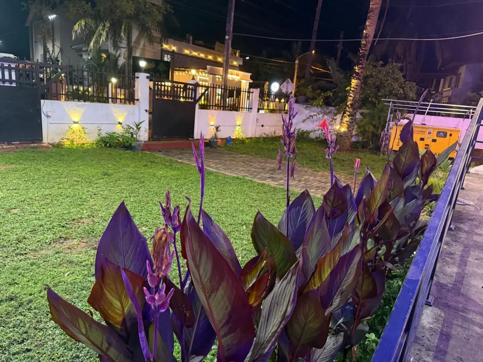 Night in Peninsula hotel Night in Peninsula hotel