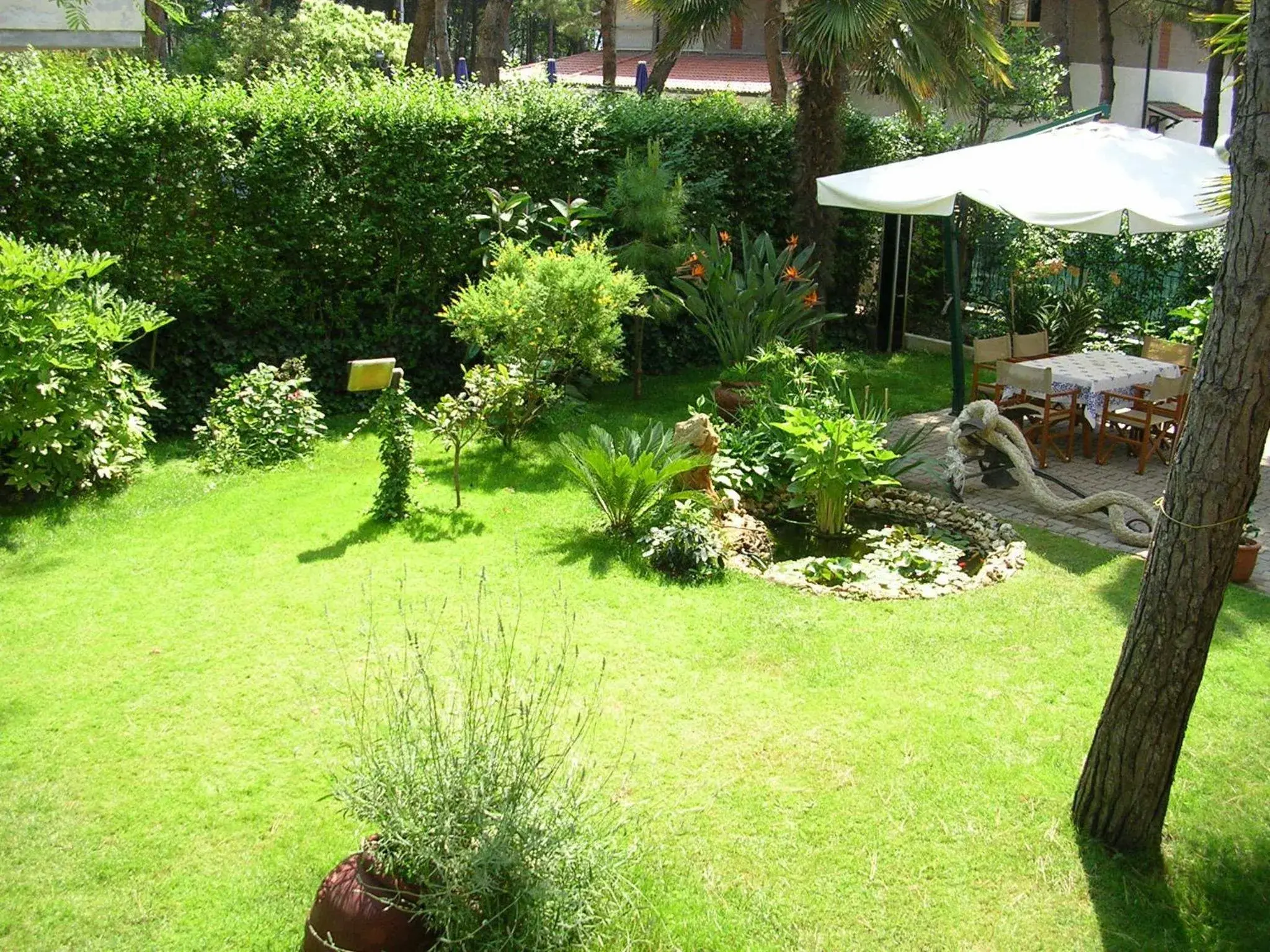 Garden in Hotel Escorial