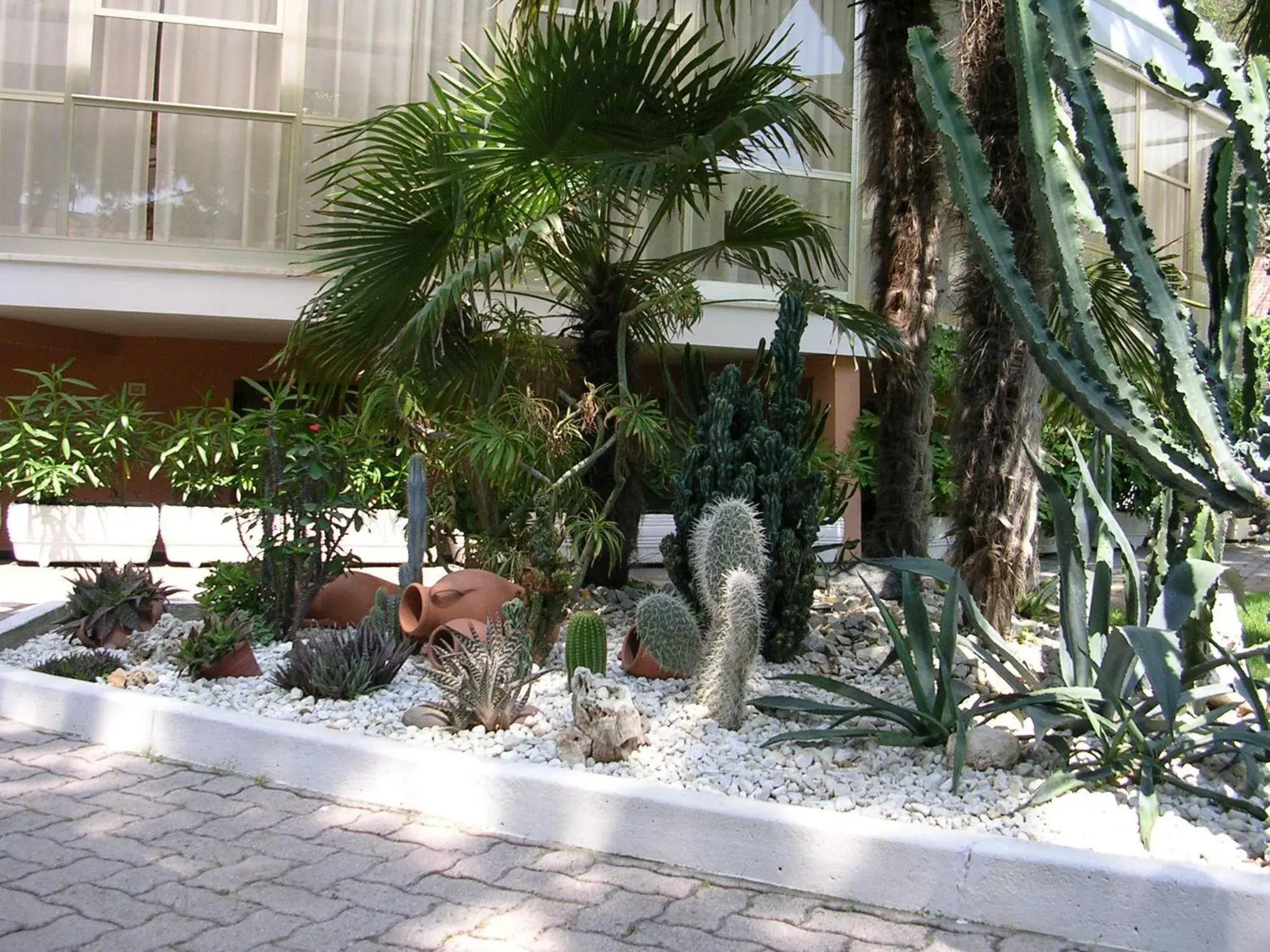 Garden in Hotel Escorial