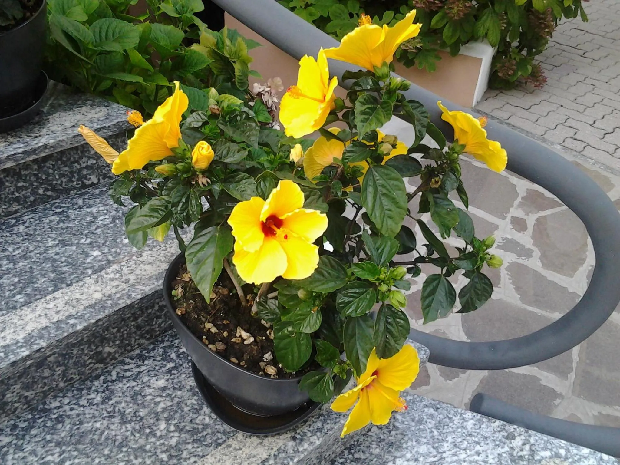 Decorative detail in Hotel Escorial