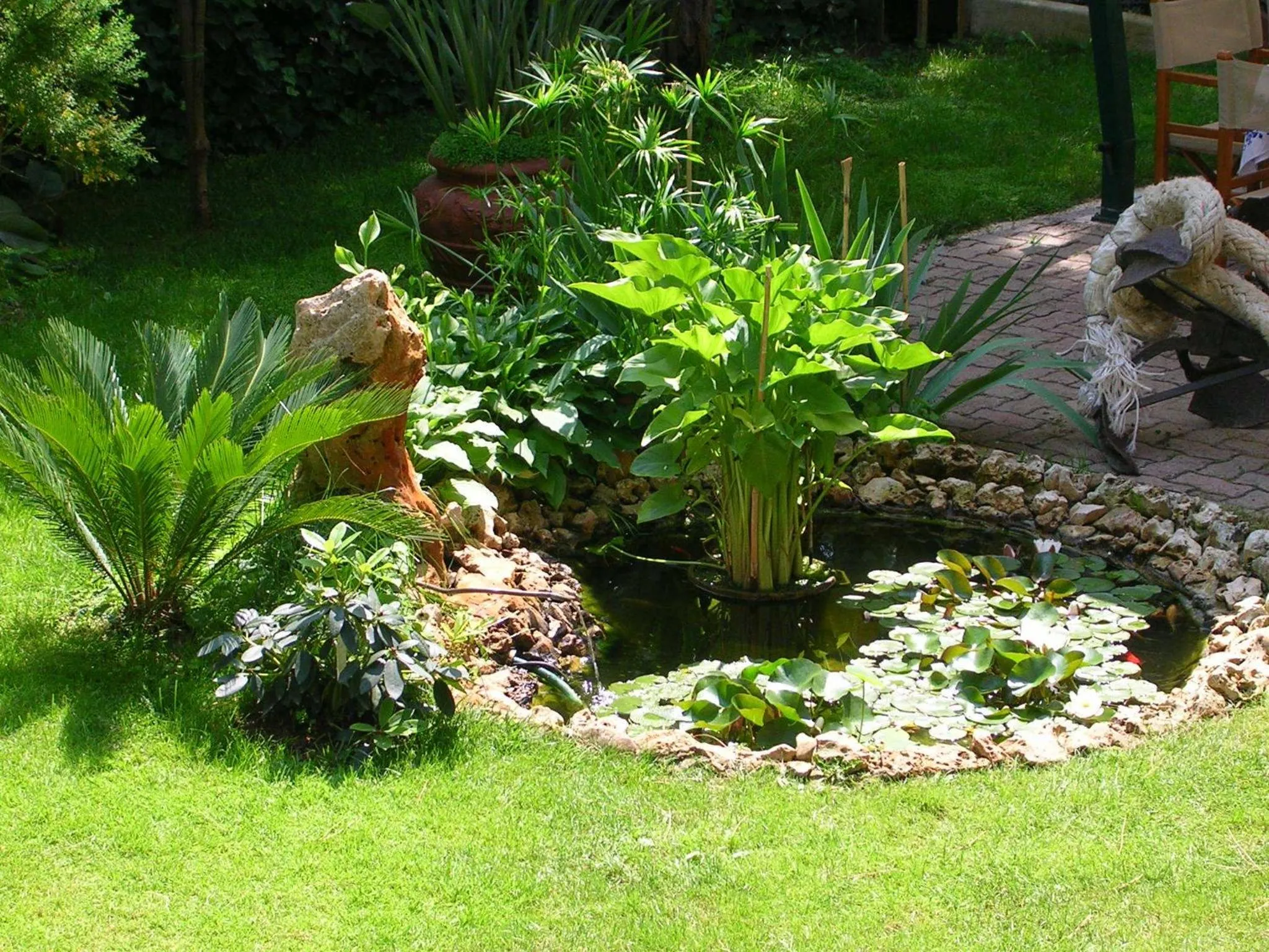 Garden in Hotel Escorial