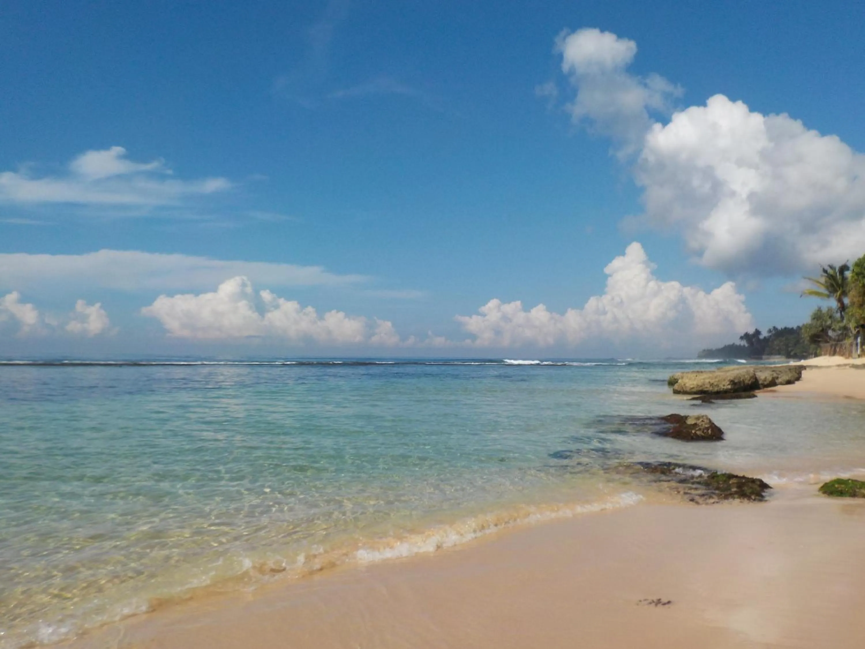 Fishing in Lilly House