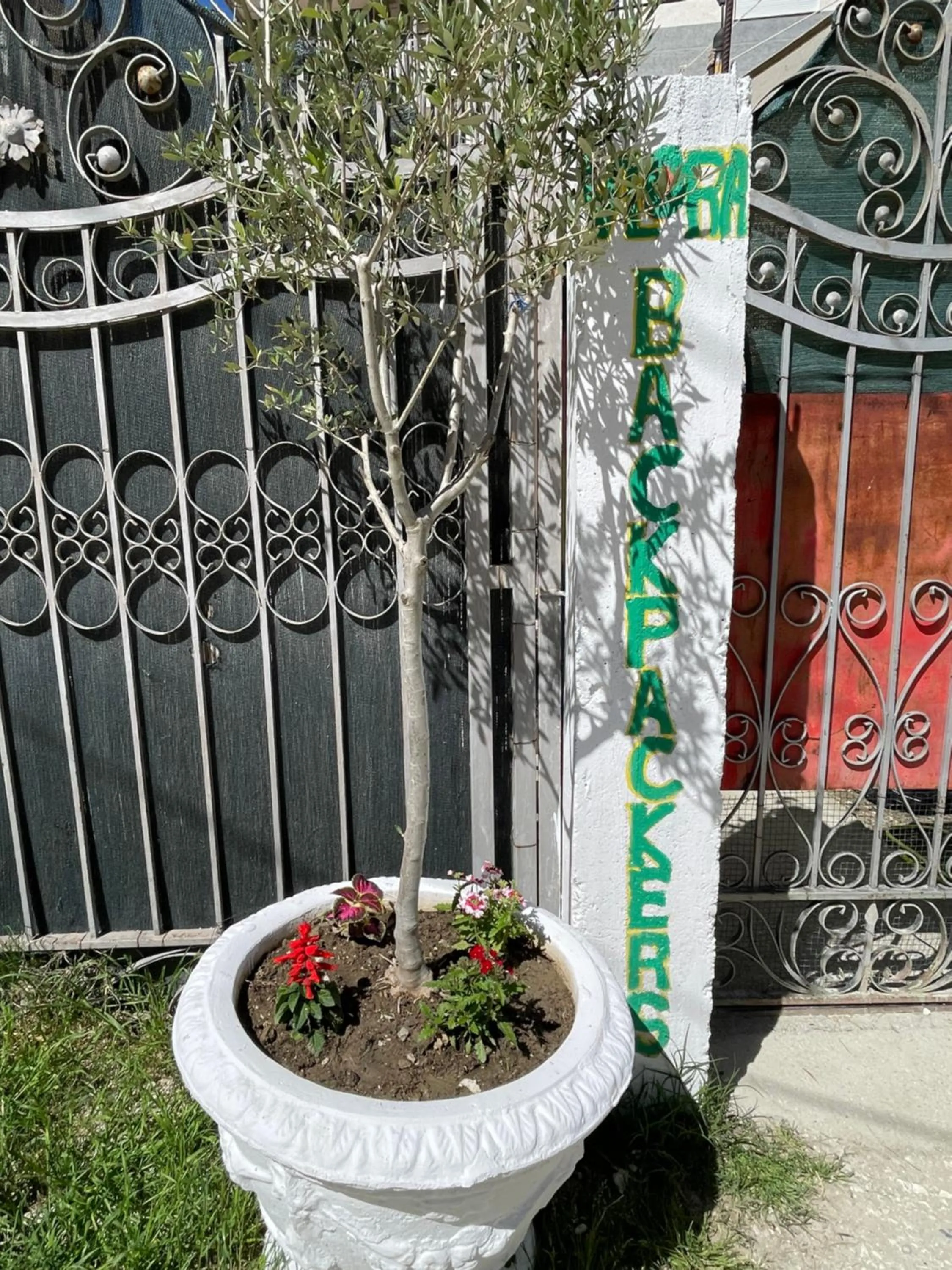 Garden view in Vlora Backpackers Hostel & Bar LUNGOMARE