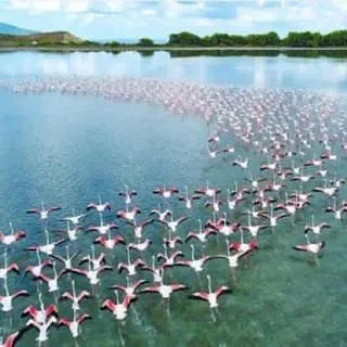 Natural landscape in Vlora Backpackers Hostel & Bar LUNGOMARE