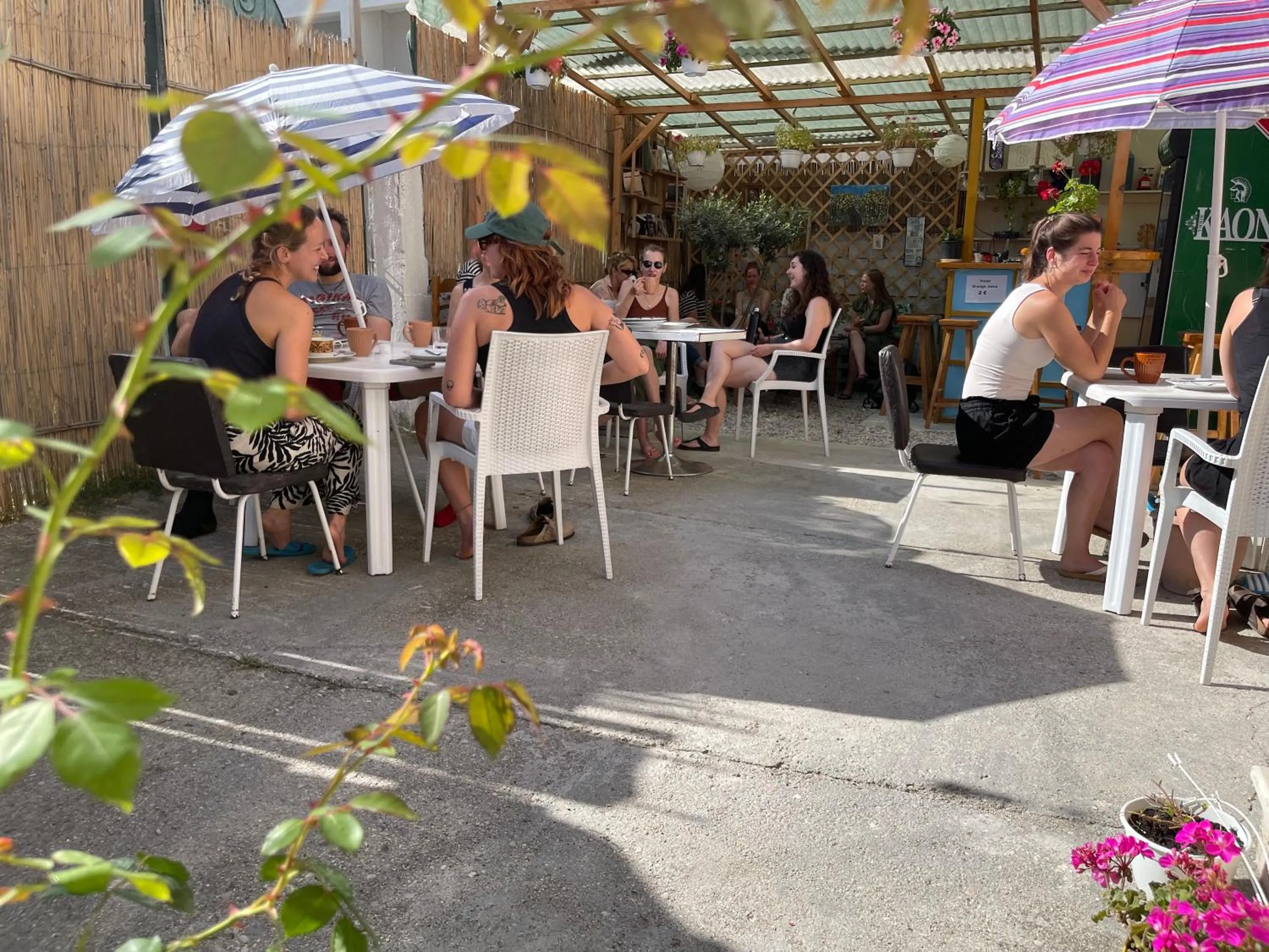 Food and drinks in Vlora Backpackers Hostel & Bar LUNGOMARE