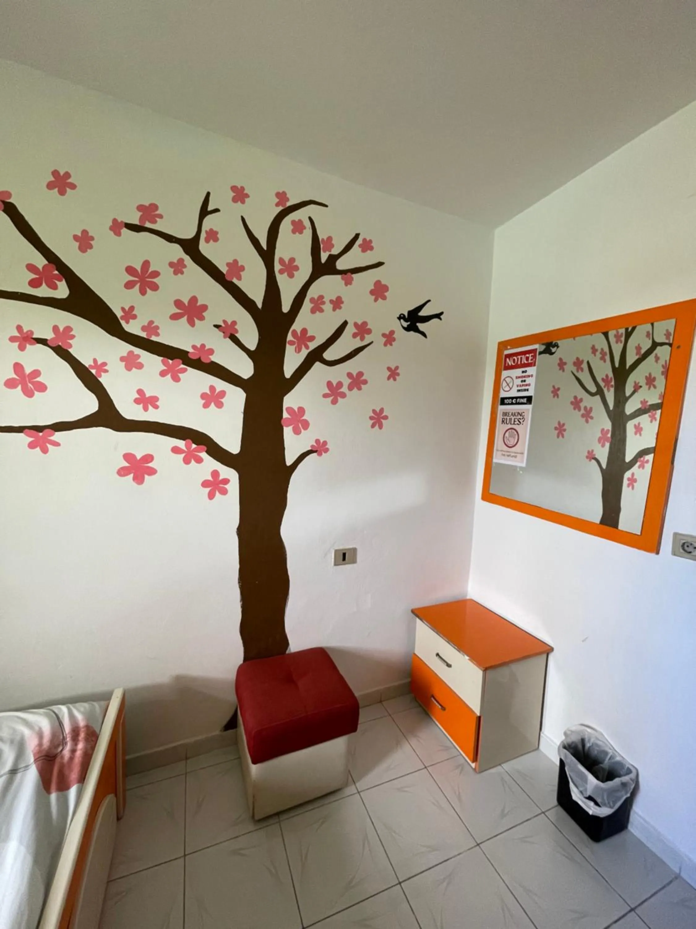 Photo of the whole room, Bed in Vlora Backpackers Hostel & Bar LUNGOMARE