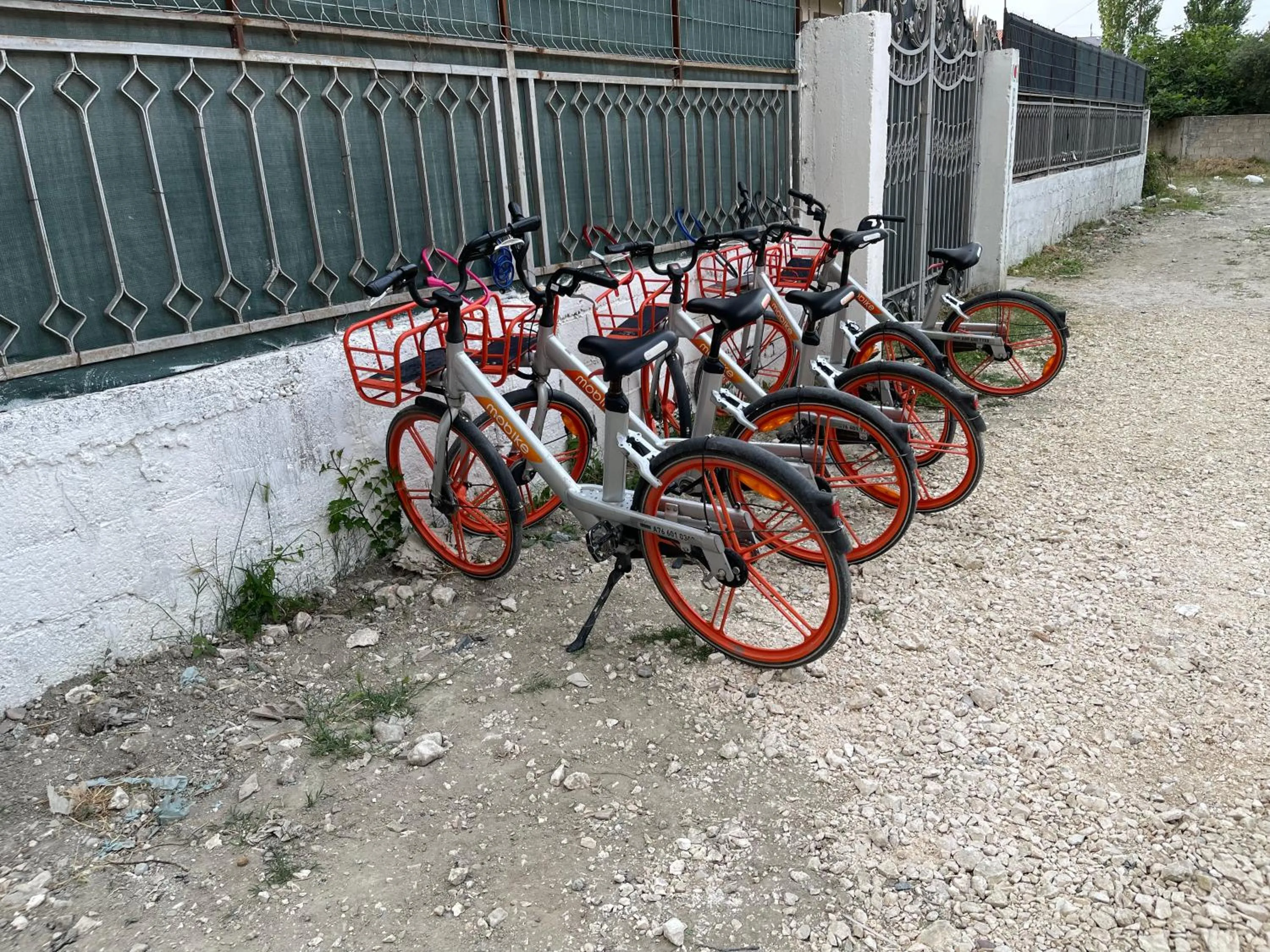 Cycling in Vlora Backpackers Hostel & Bar LUNGOMARE