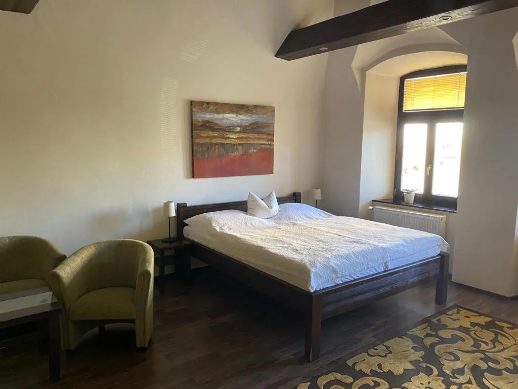 Double Room - single occupancy in Penzion Venuša