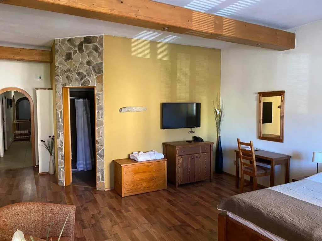 Double Room - single occupancy in Penzion Venuša