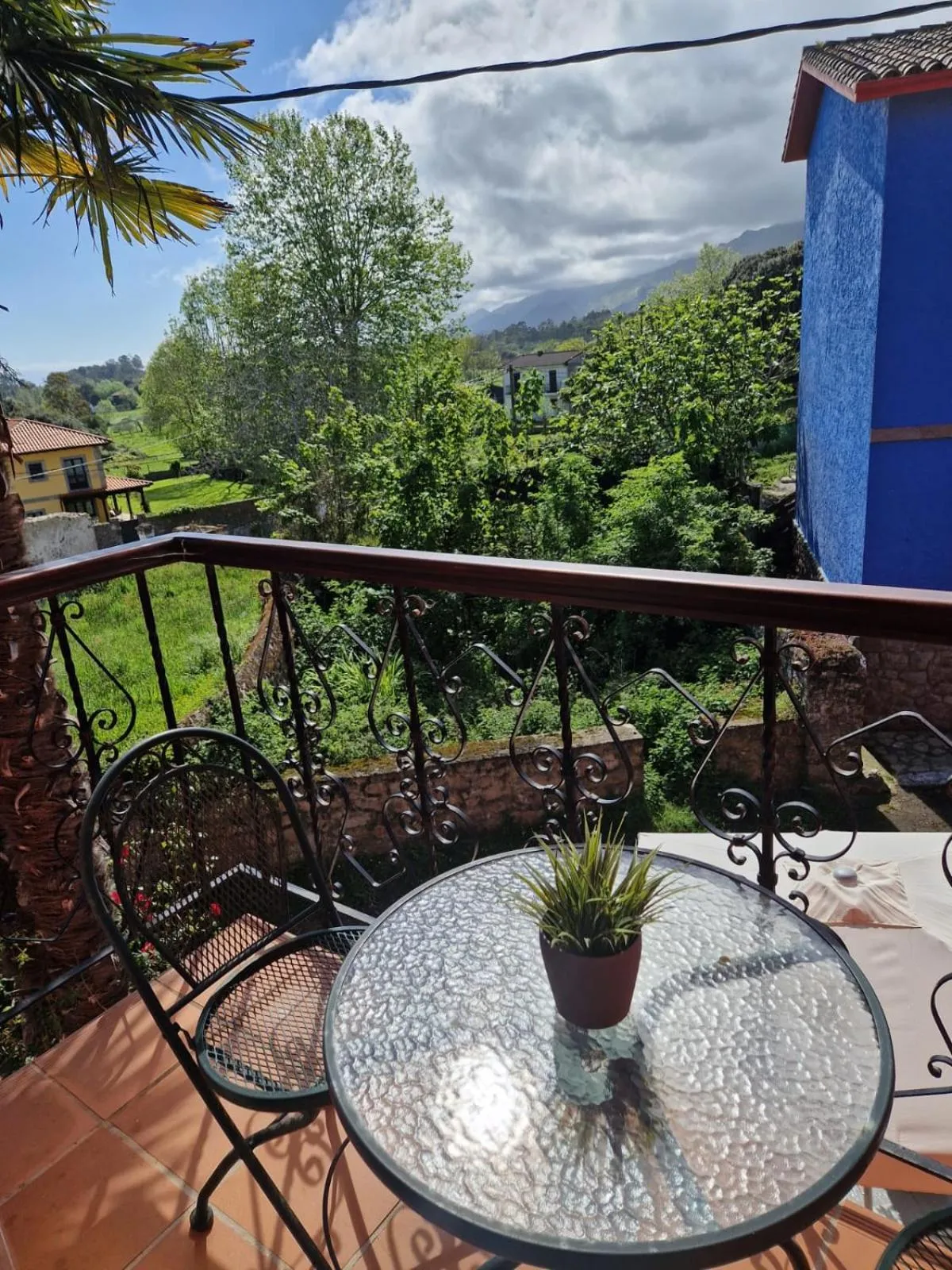 Hotel las Palmeras Suite