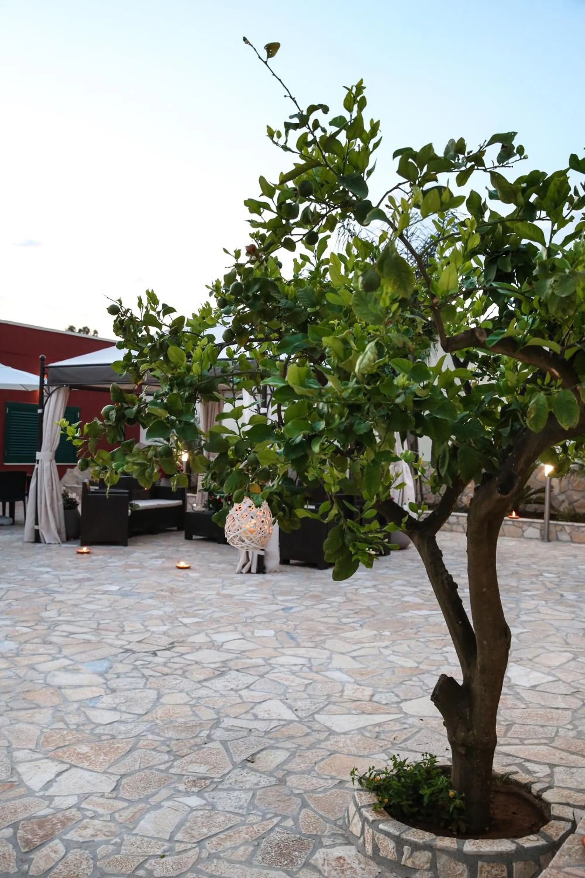 Garden in Bhagya