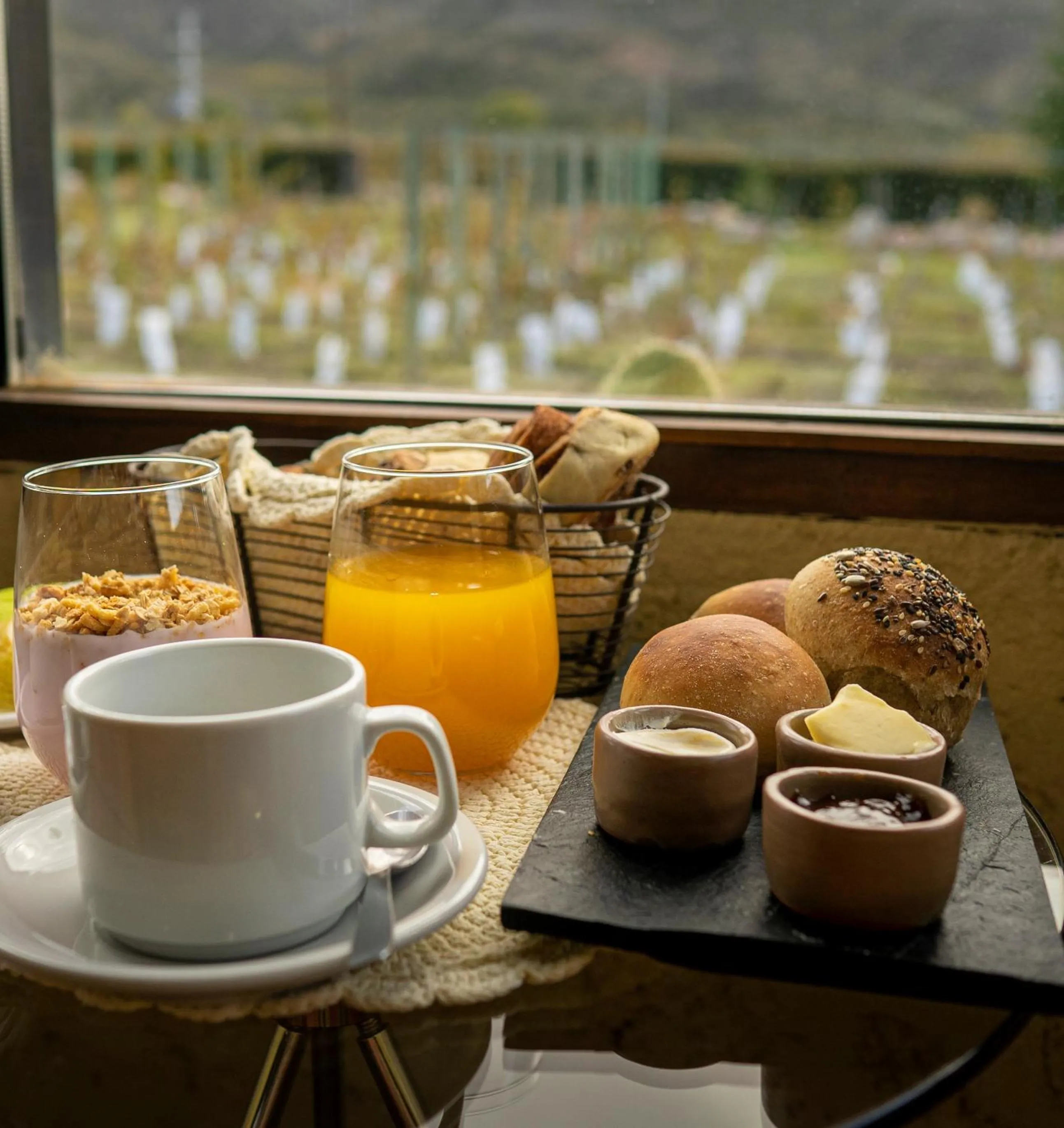 Ayres de Uco Lodge & Wine Lovers