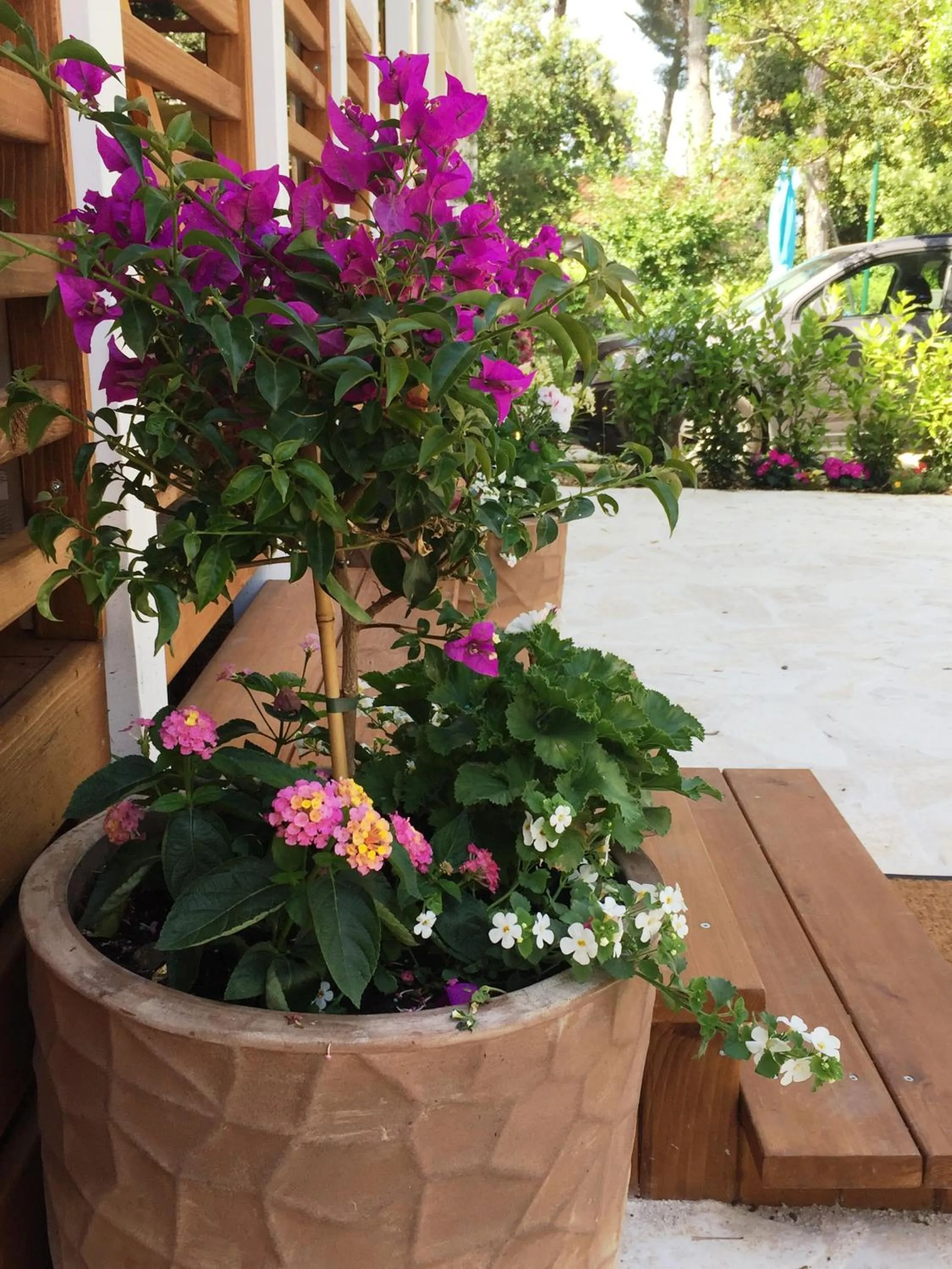 Decorative detail in Sunny Home Soline