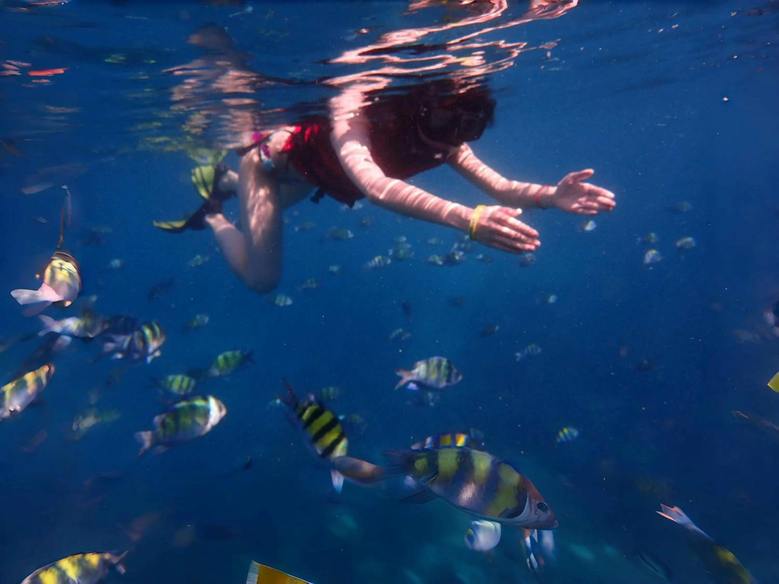 People in BJ & Radisson Sea View Hotel