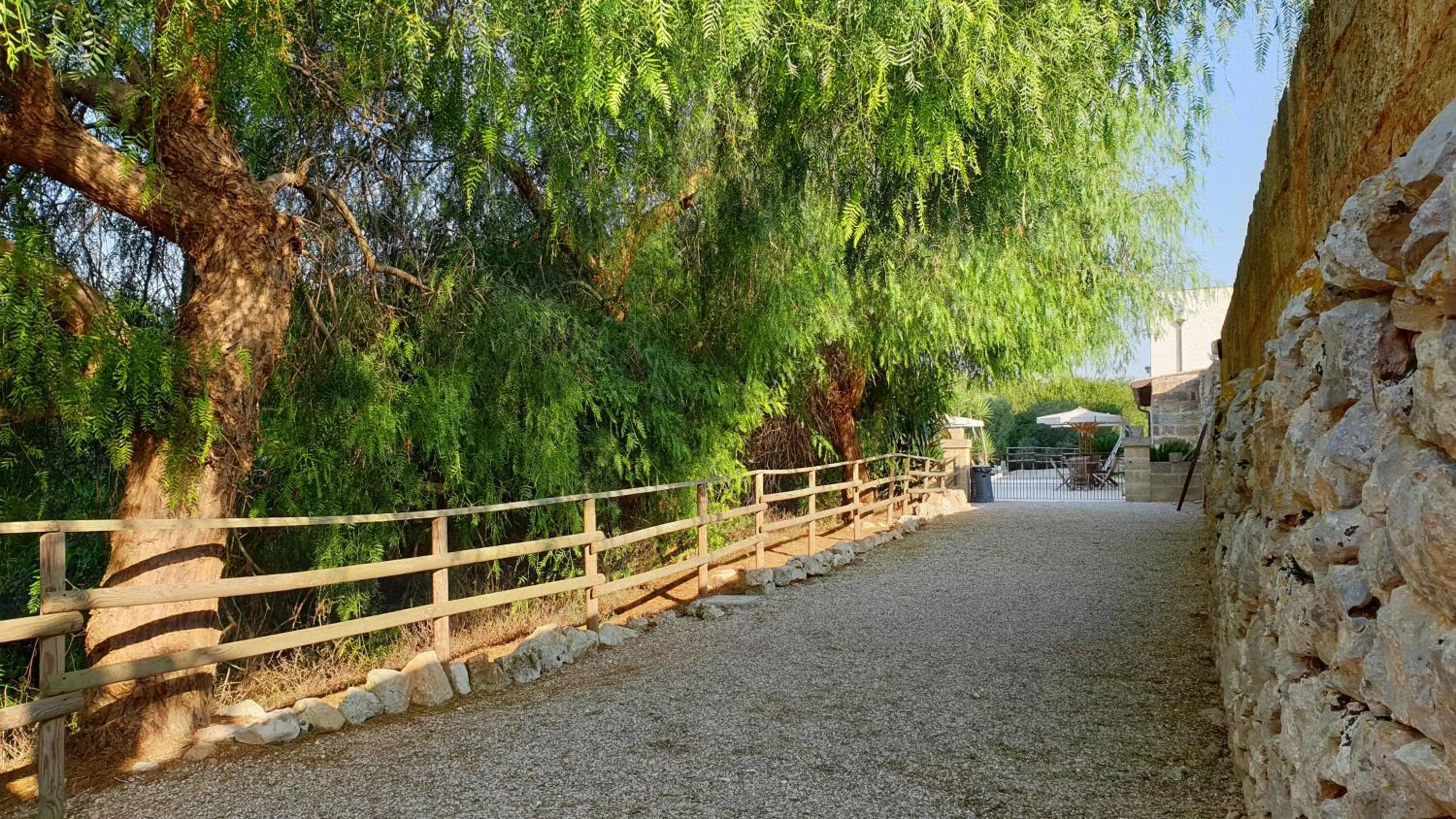 Garden in Antica Masseria Pescu