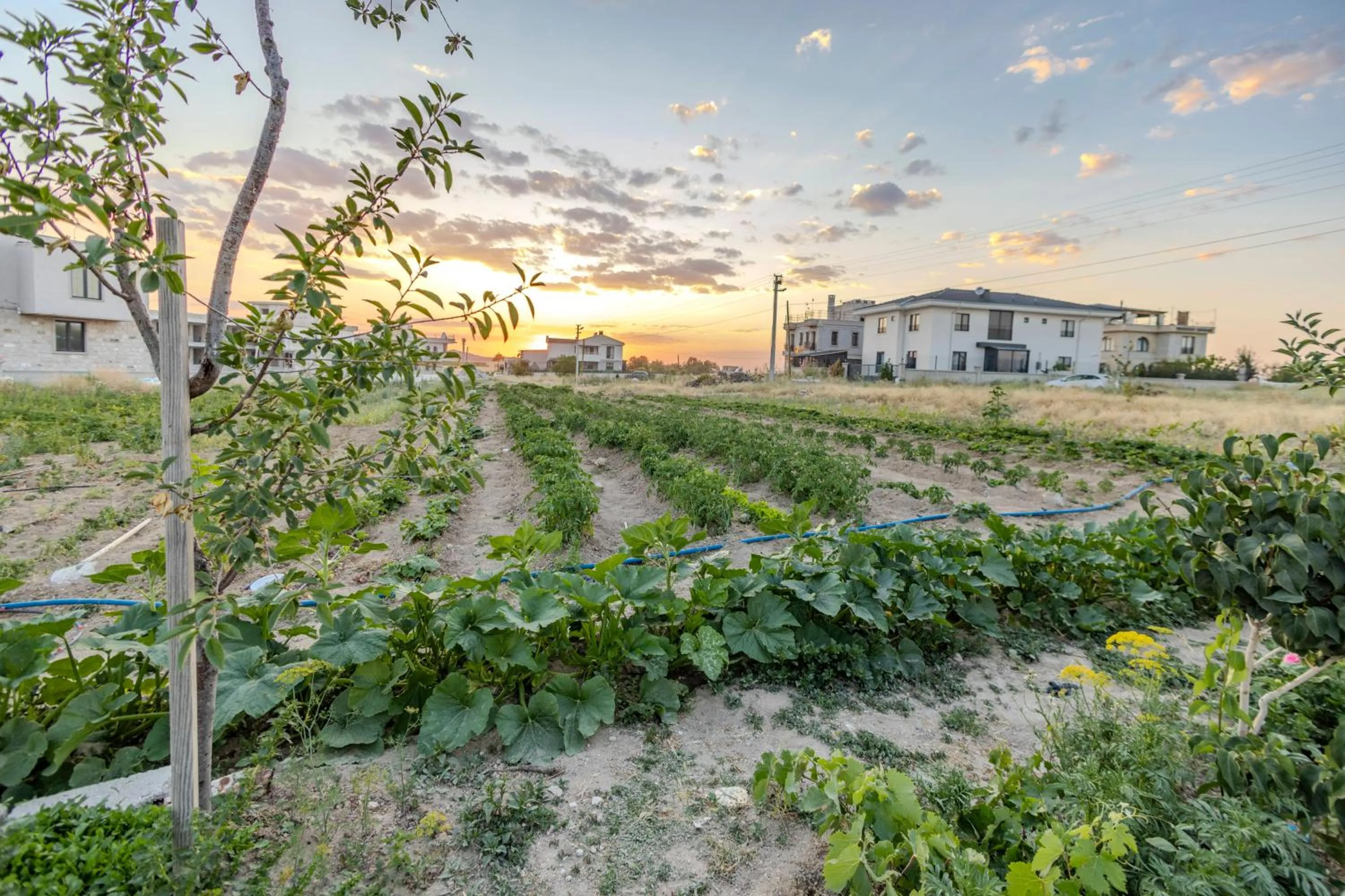 Garden in Mial Cappadocia