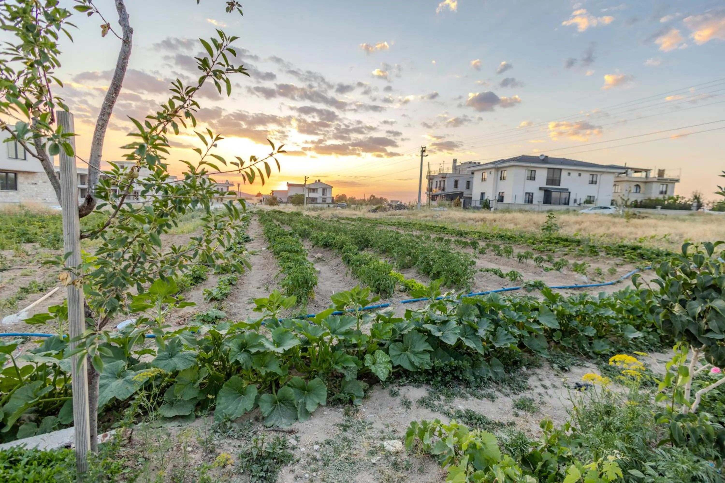 Garden in Mial Cappadocia