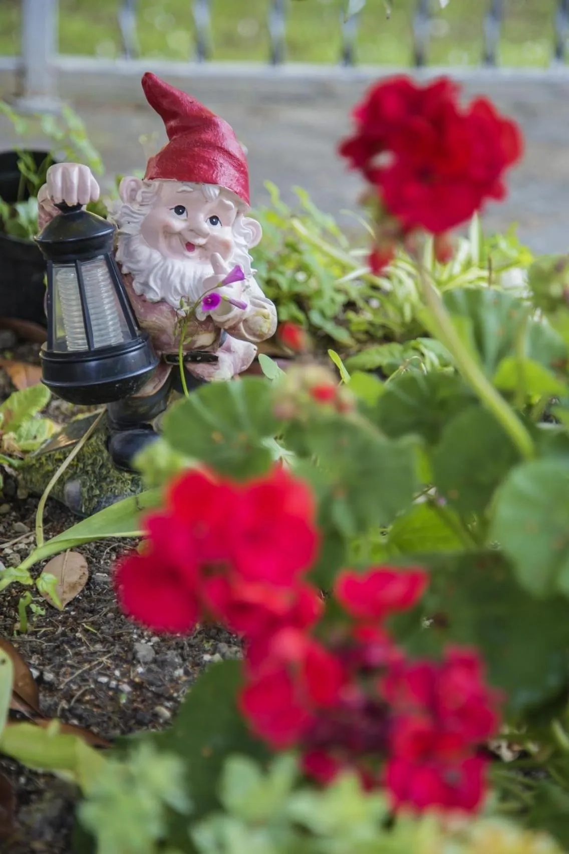 Garden view in B&B Il Giardino