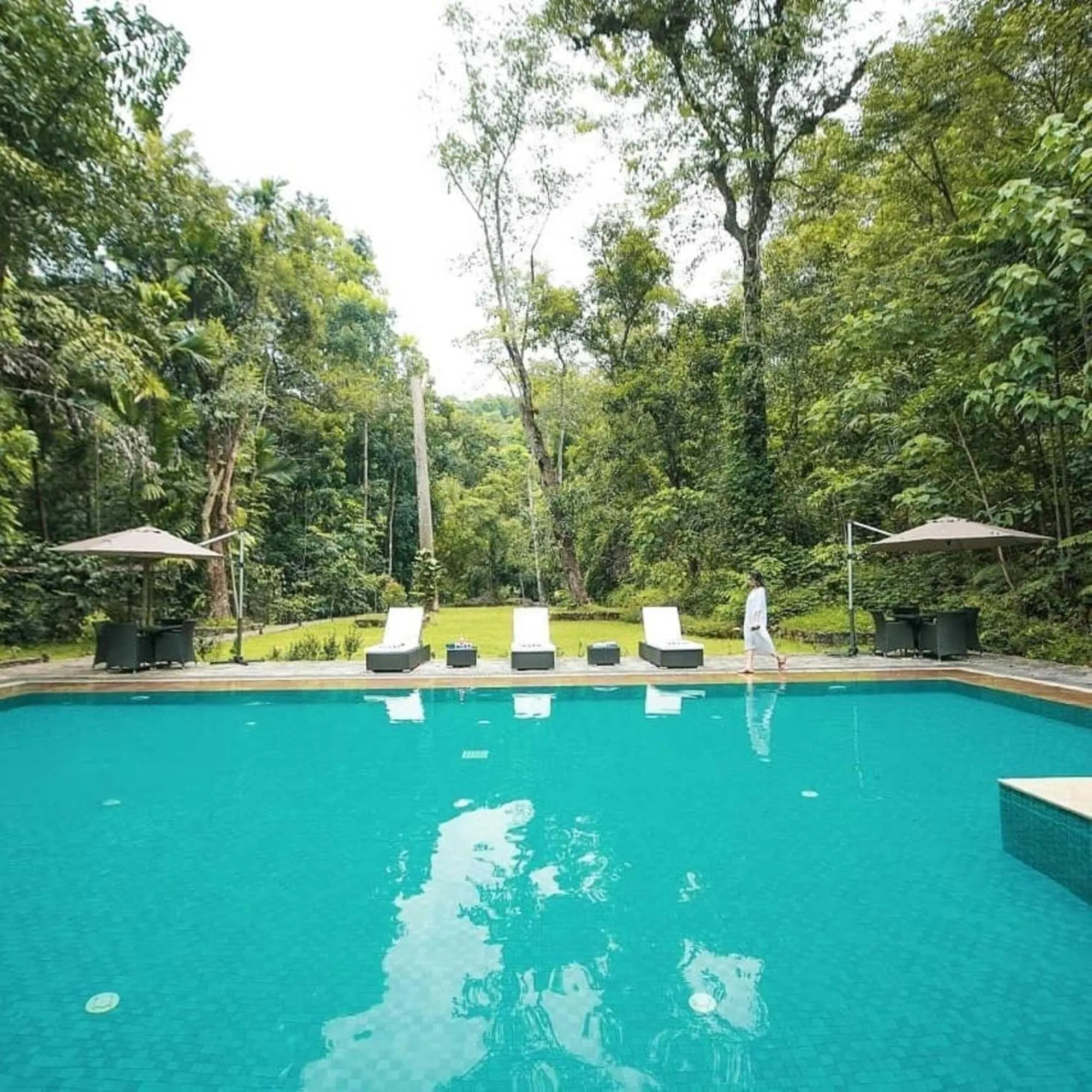 Swimming pool in Palmstone Retreat