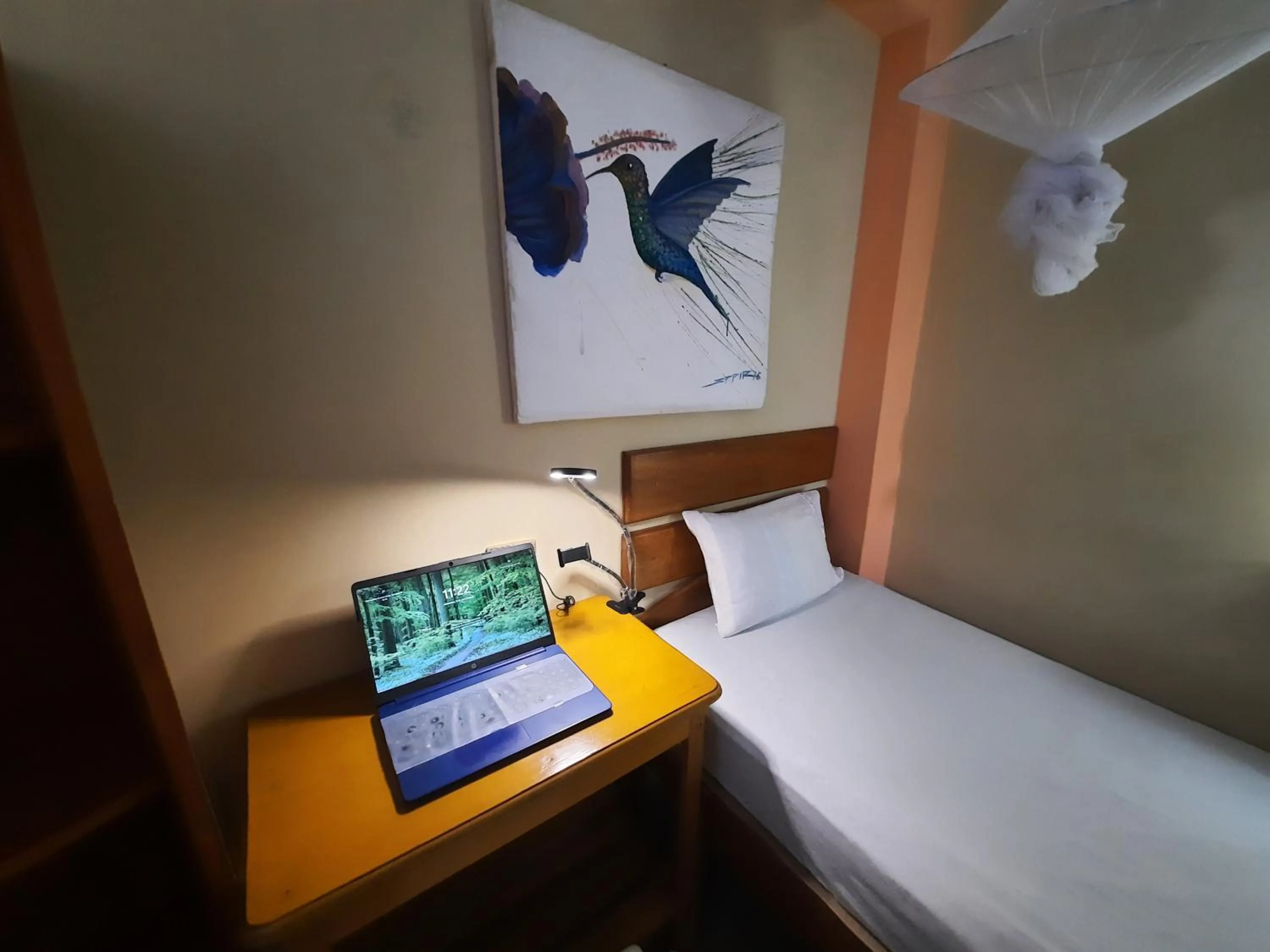 Bed in Amazon House Hostel