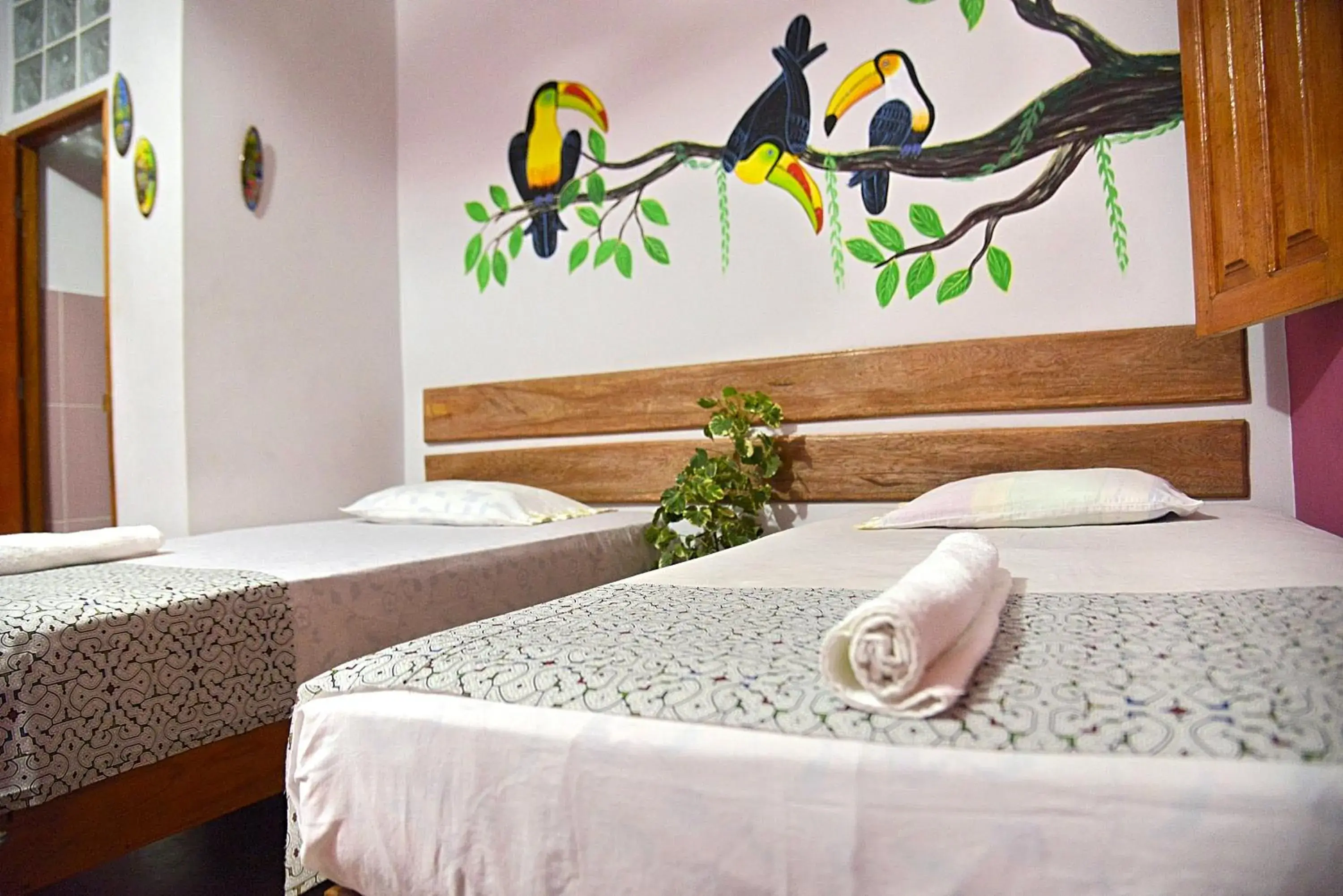 Economy Twin Room in Amazon House Hostel Economy Twin Room in Amazon House Hostel