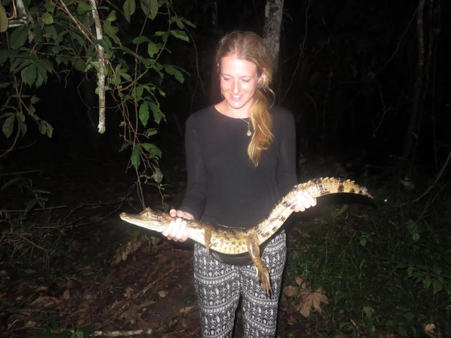 Activities in Amazon House Hostel