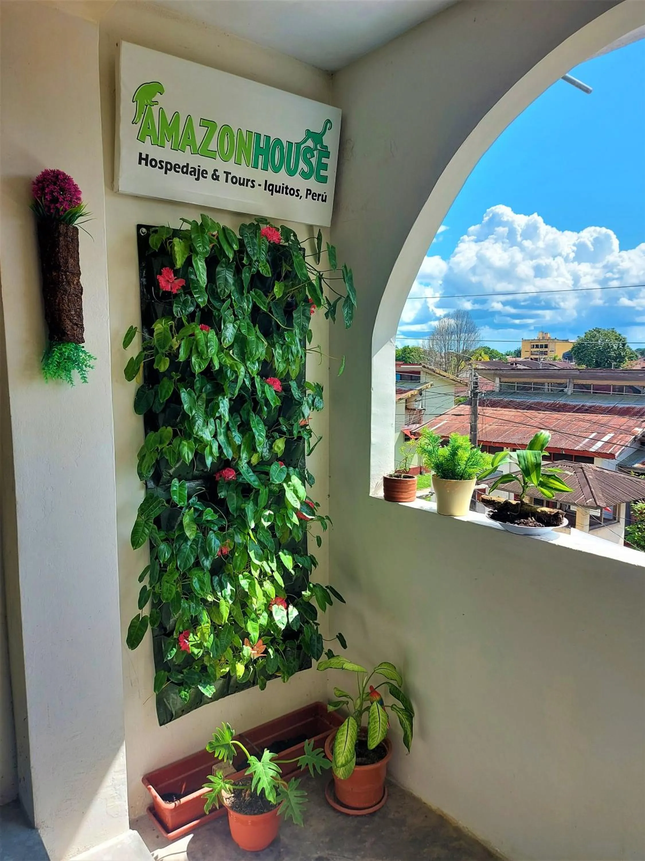 Balcony/Terrace in Amazon House Hostel