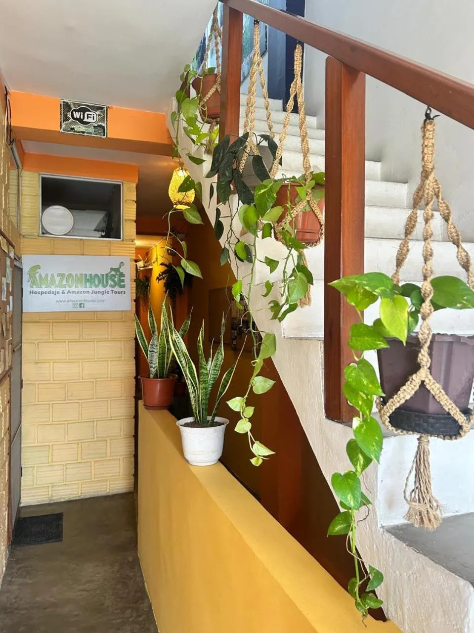 Amazon House Hostel