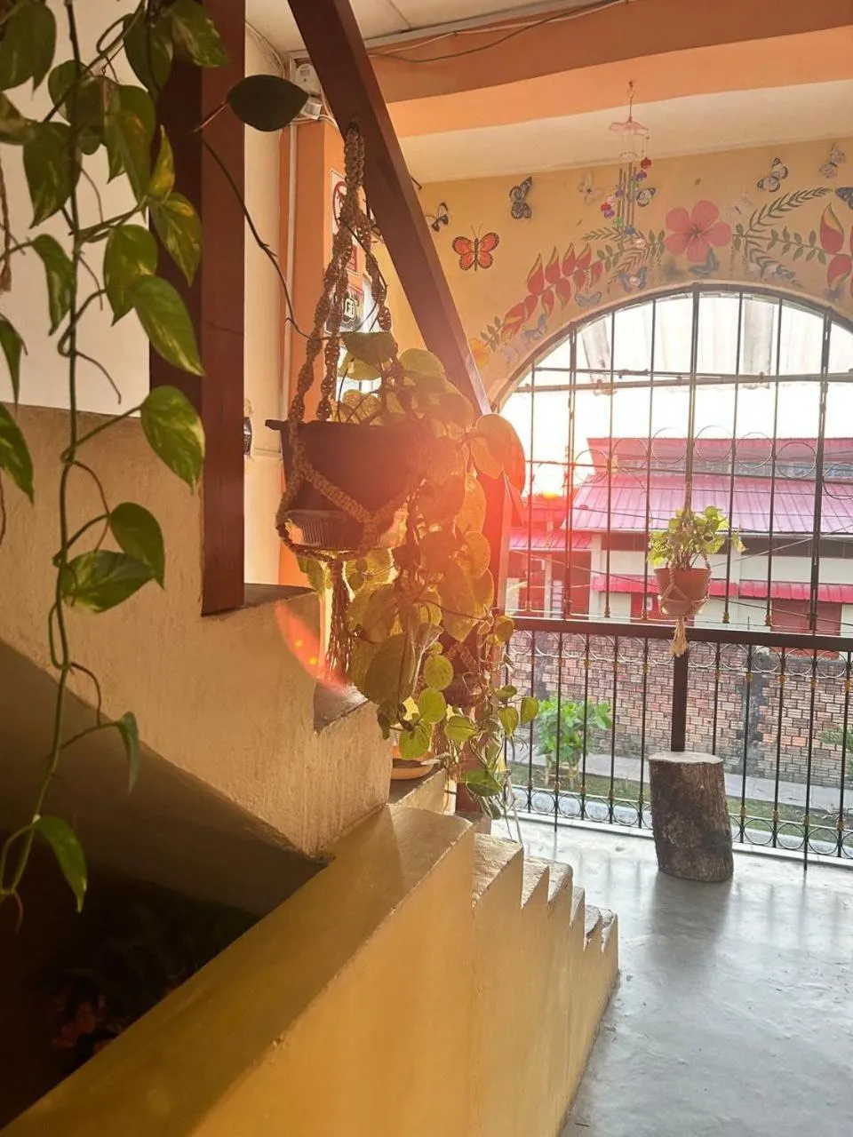 Amazon House Hostel