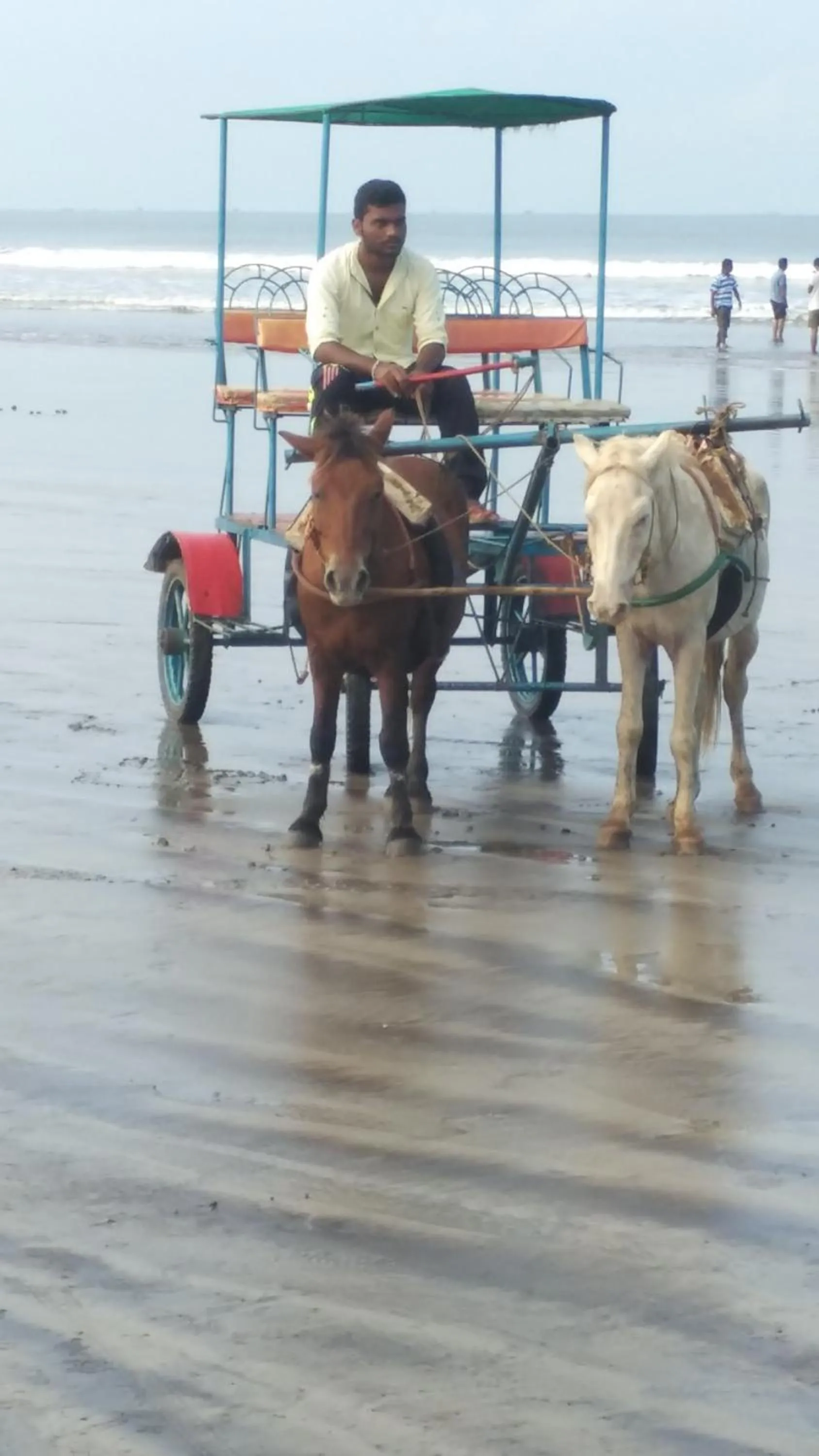 Day in Tendulkar Beach Resort