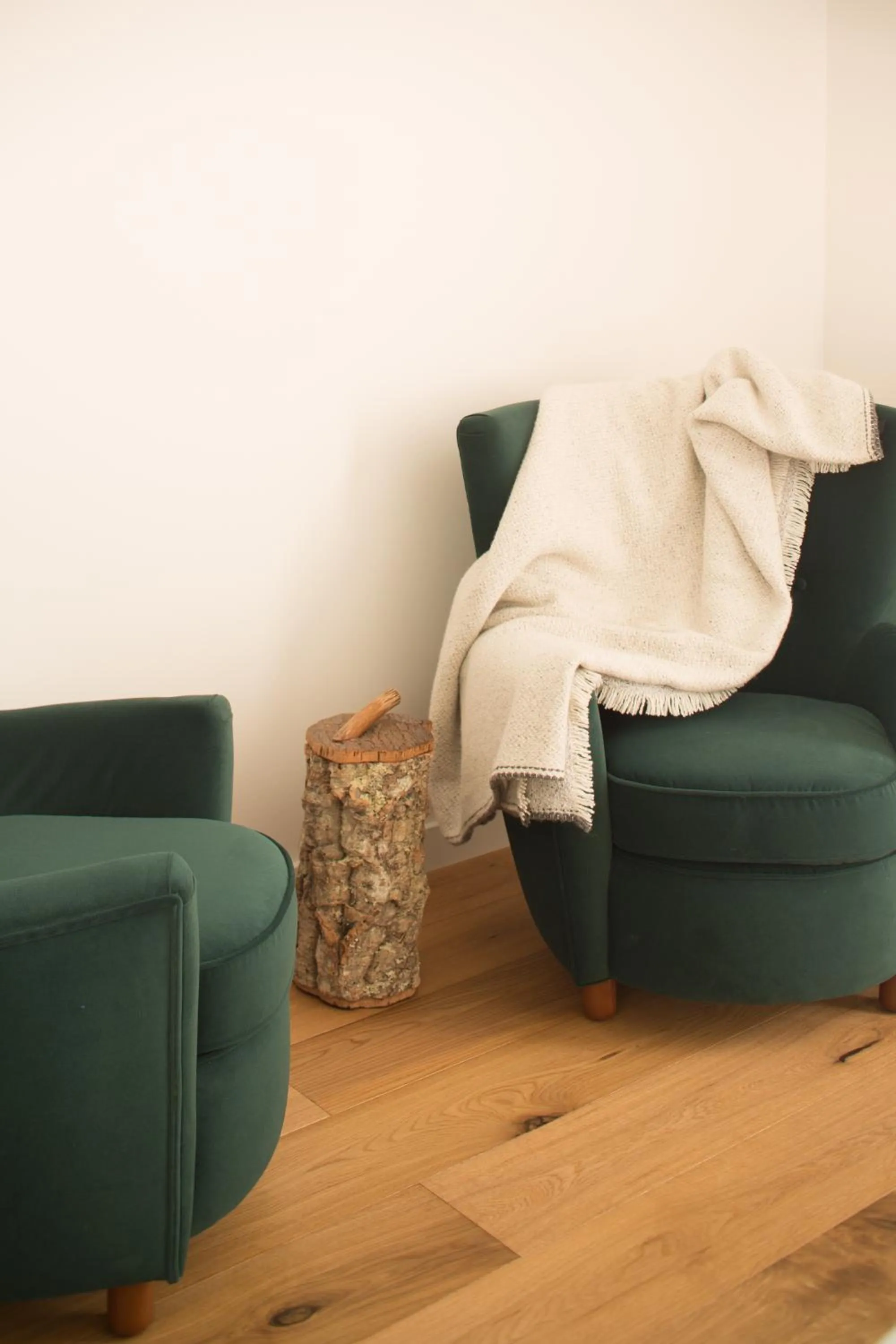 Area and facilities in Mas Vivent