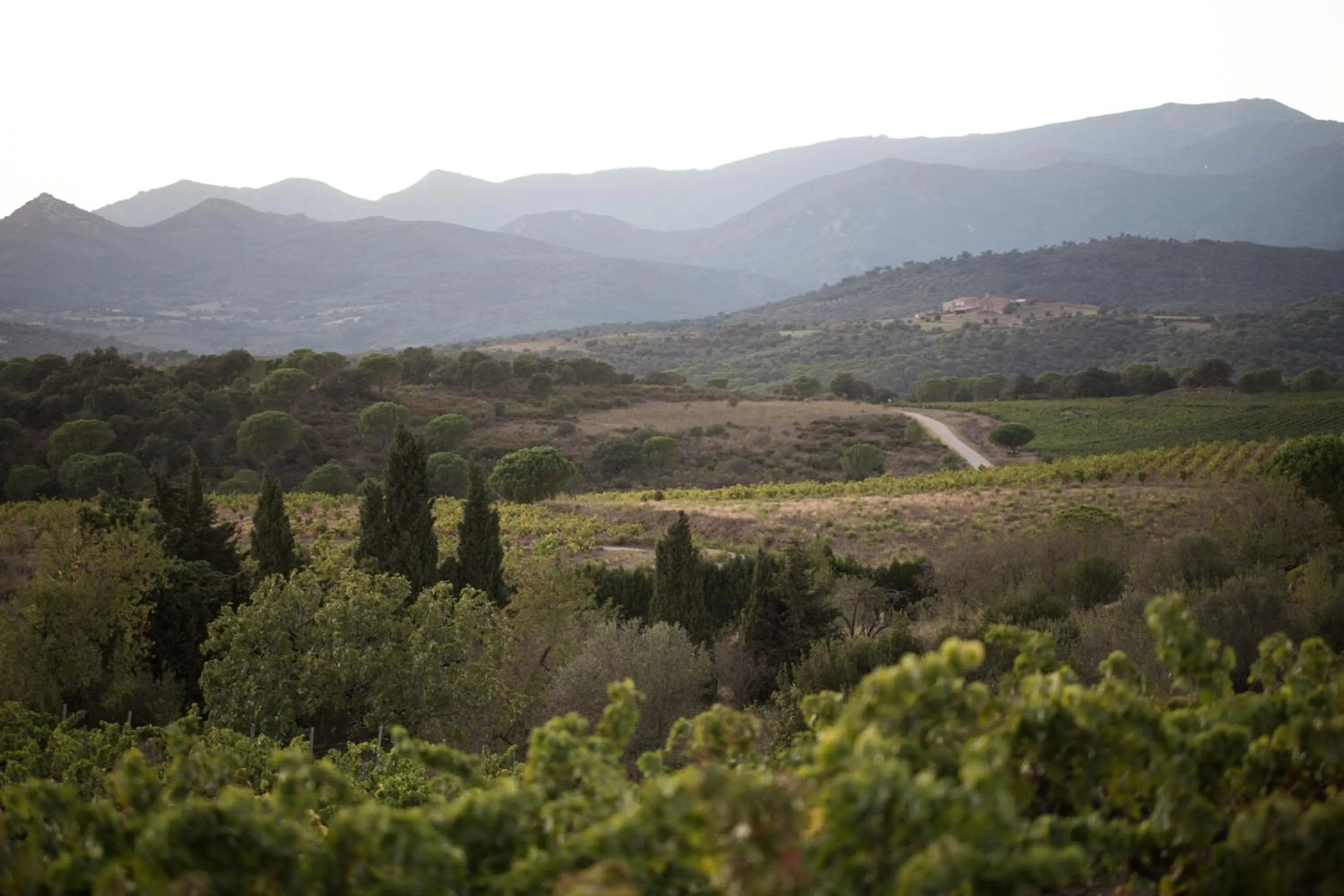 Natural landscape in Mas Vivent