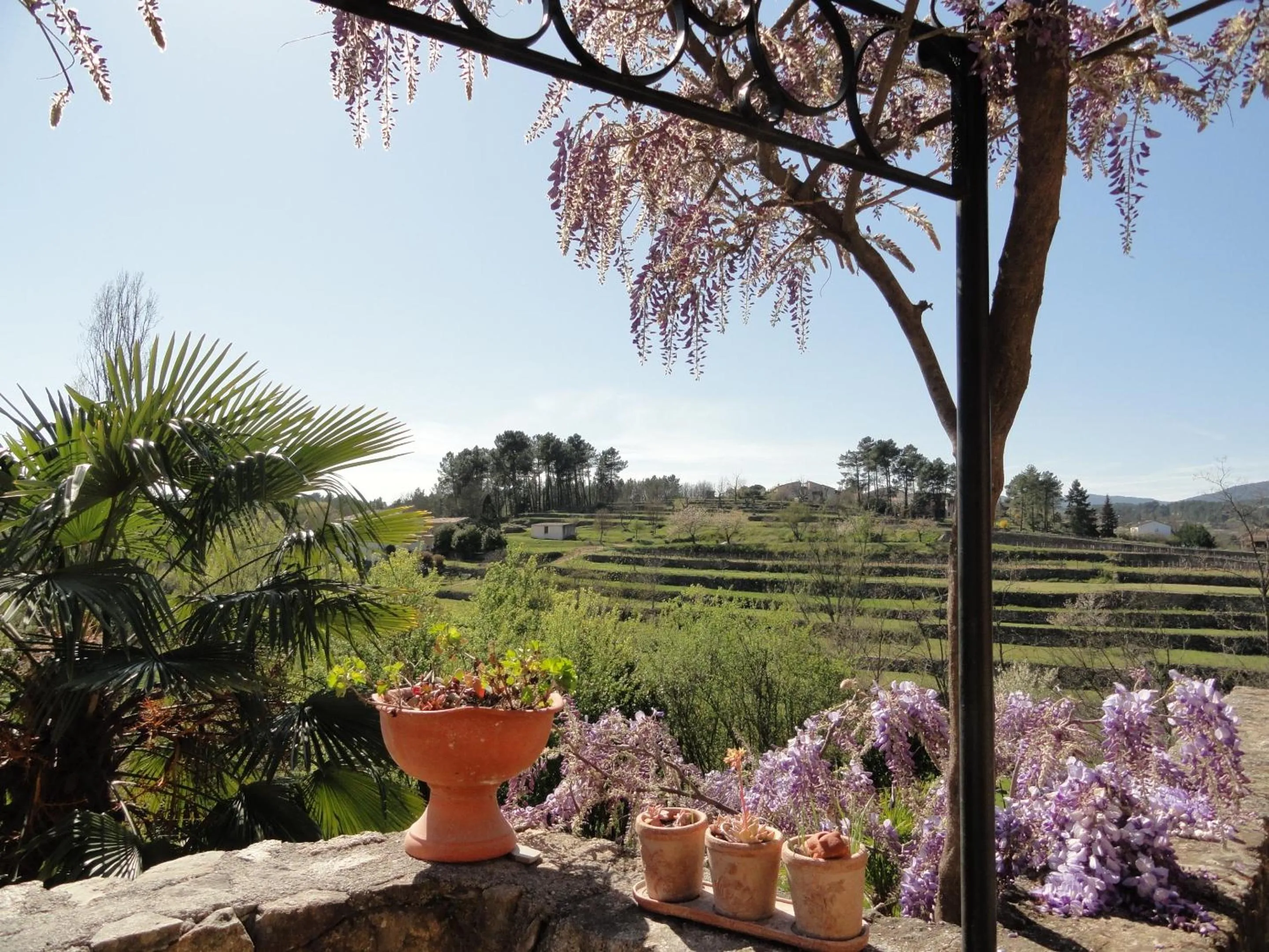 View (from property/room) in Chambre d'hôtes Au creux du Chambon