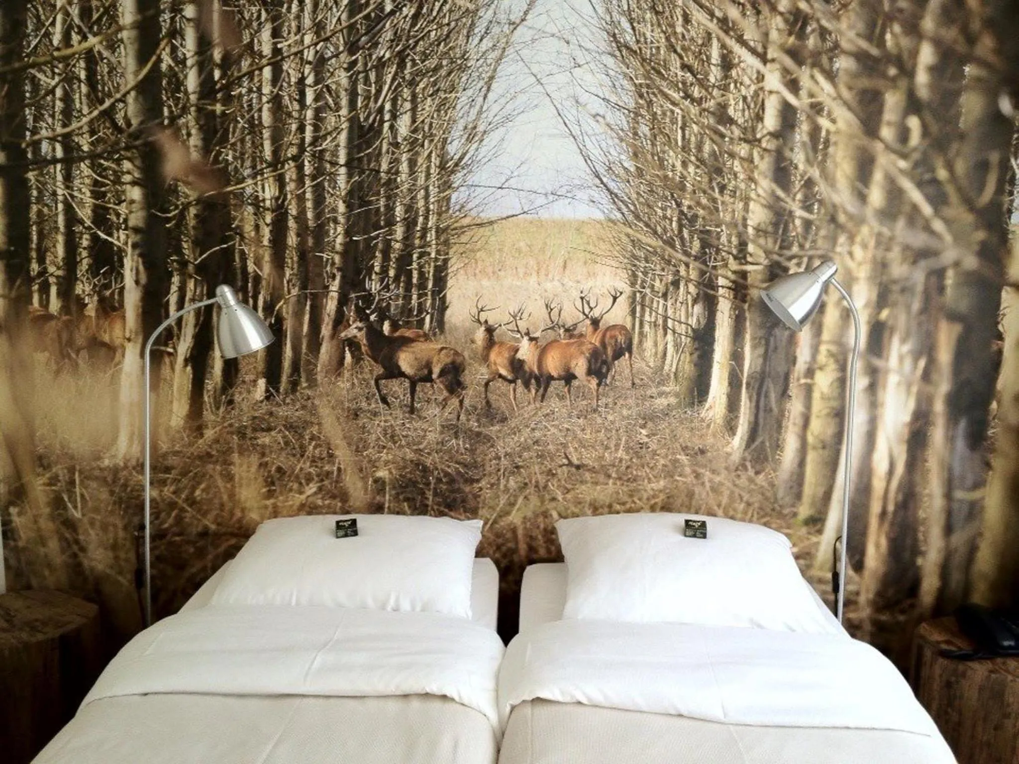 Photo of the whole room, Bed in Hajé Restaurant de Aalscholver